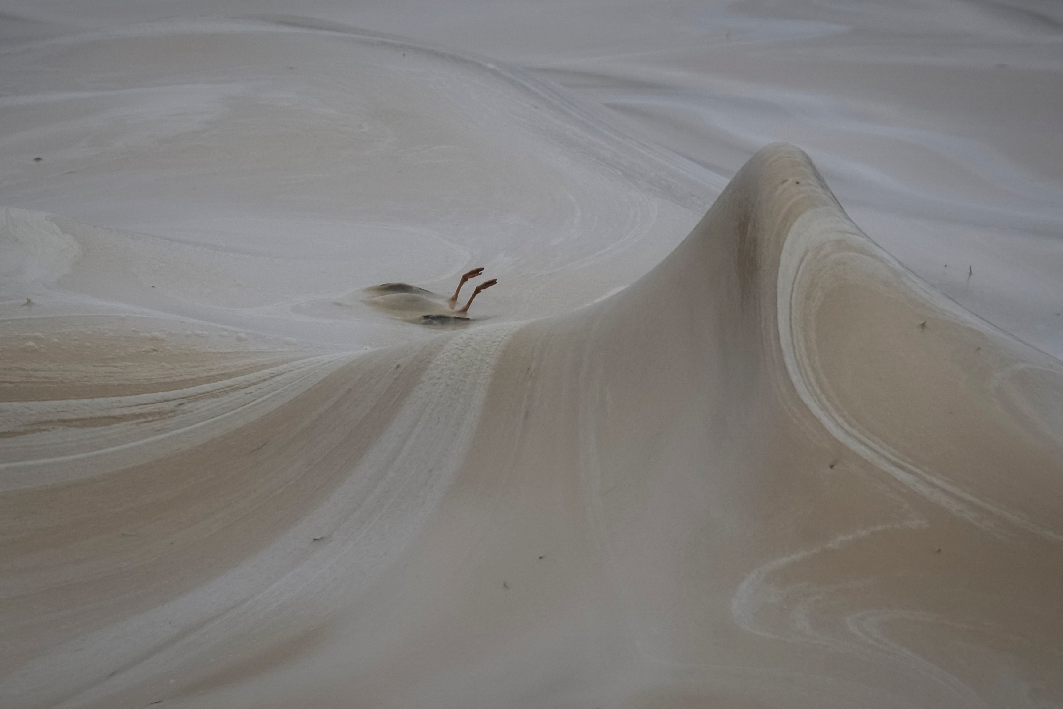 An oil spill is threatening grebes and seabirds in Ukraine. Photo: Reuters