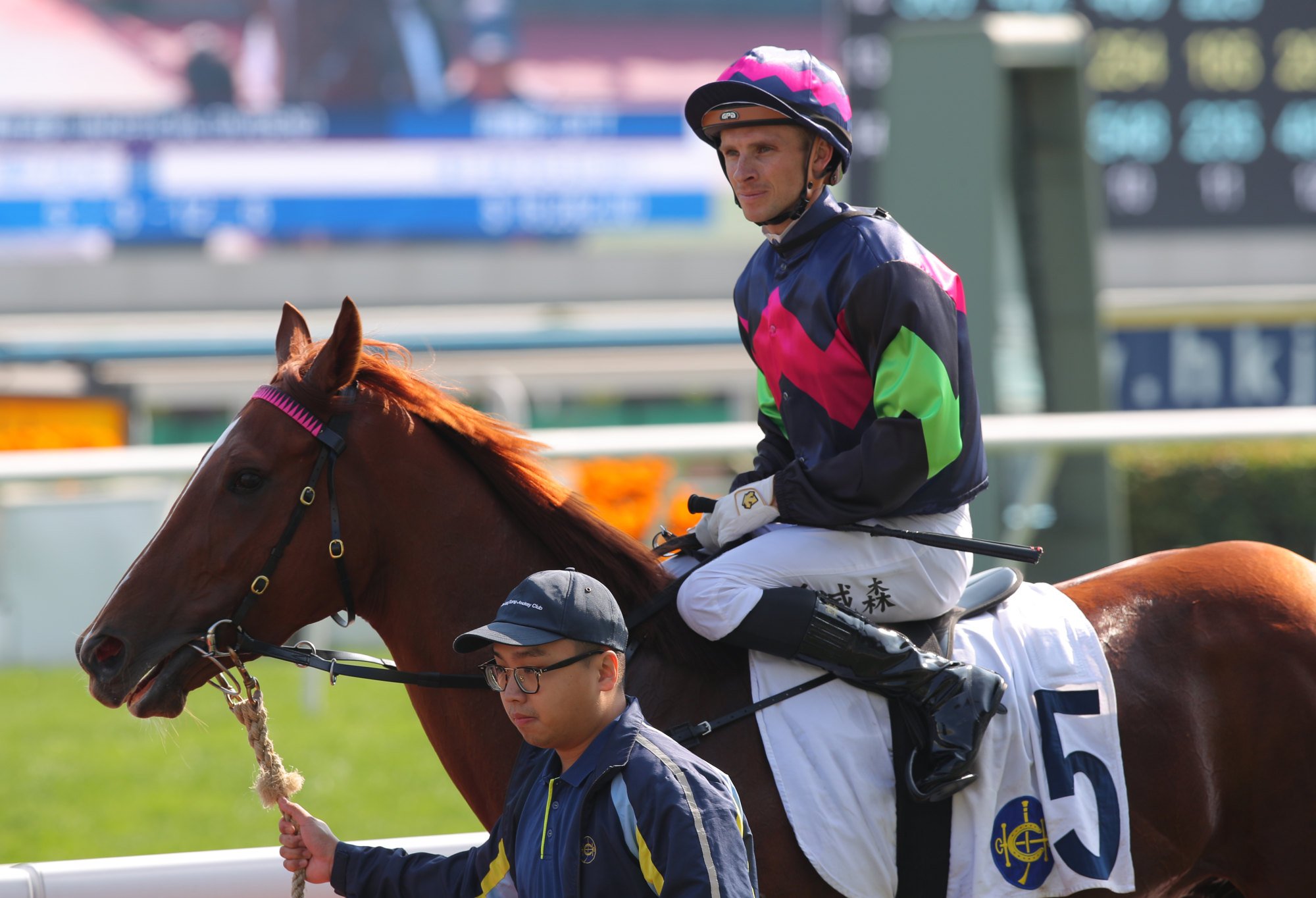 Supreme Sea made a winning debut at Sha Tin this month.