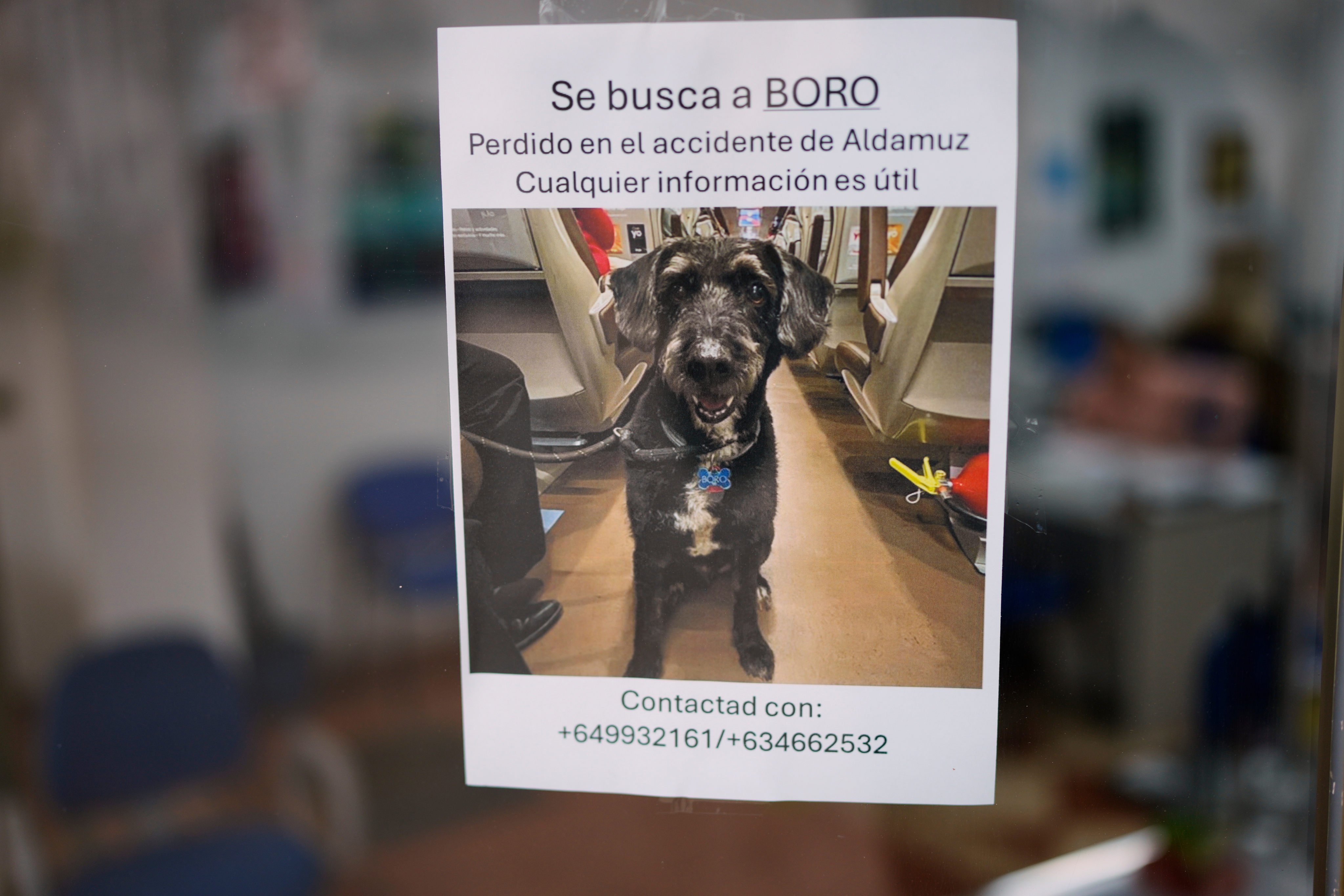 On Wednesday, a sign in Spanish was seen asking for information about Boro, a dog missing after the Adamuz train crash. Photo: AP