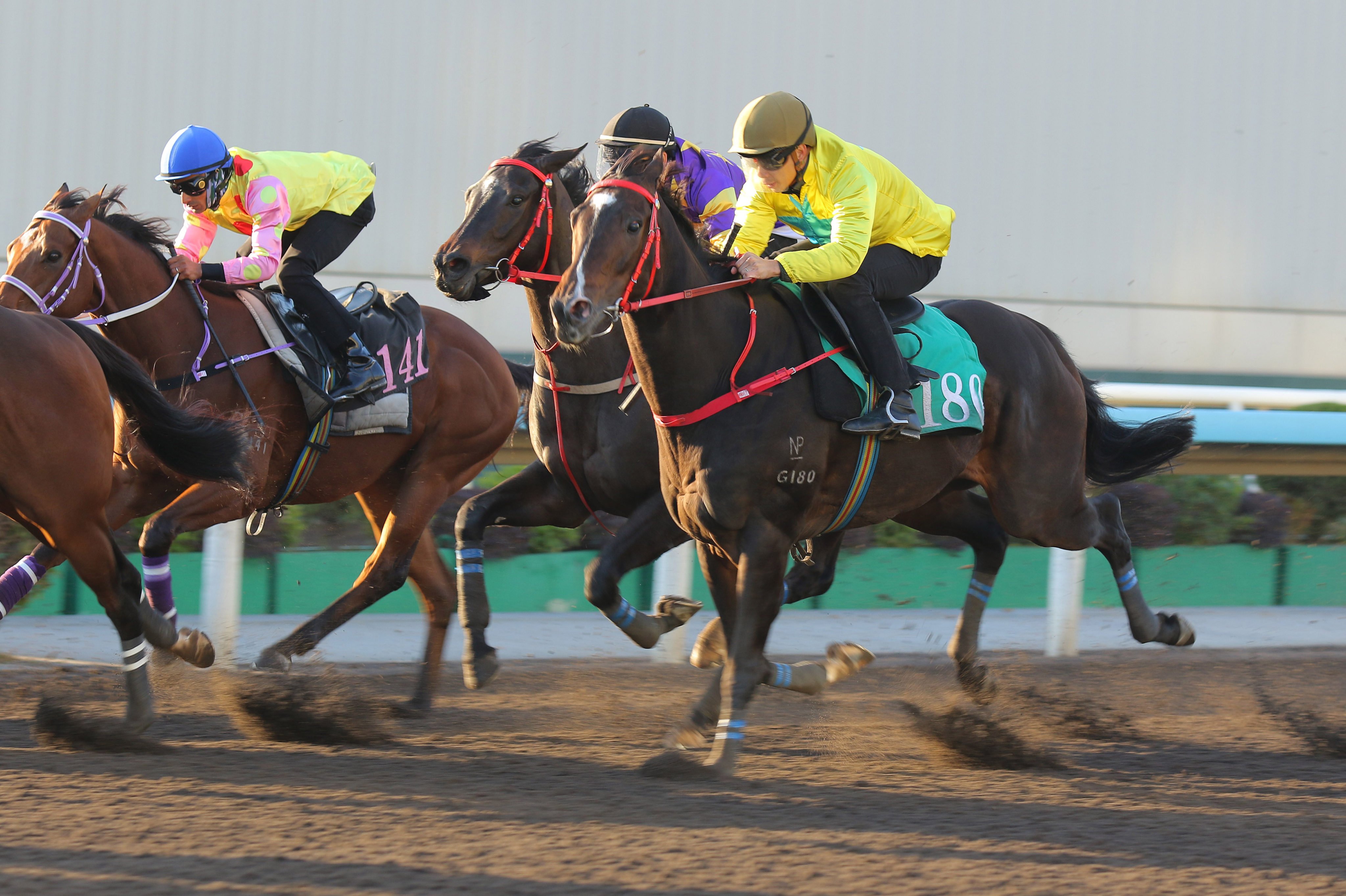 Lucky Sweynesse runs on for third in a recent dirt trial ahead of Sunday’s Stewards’ Cup. Photos: Kenneth Chan