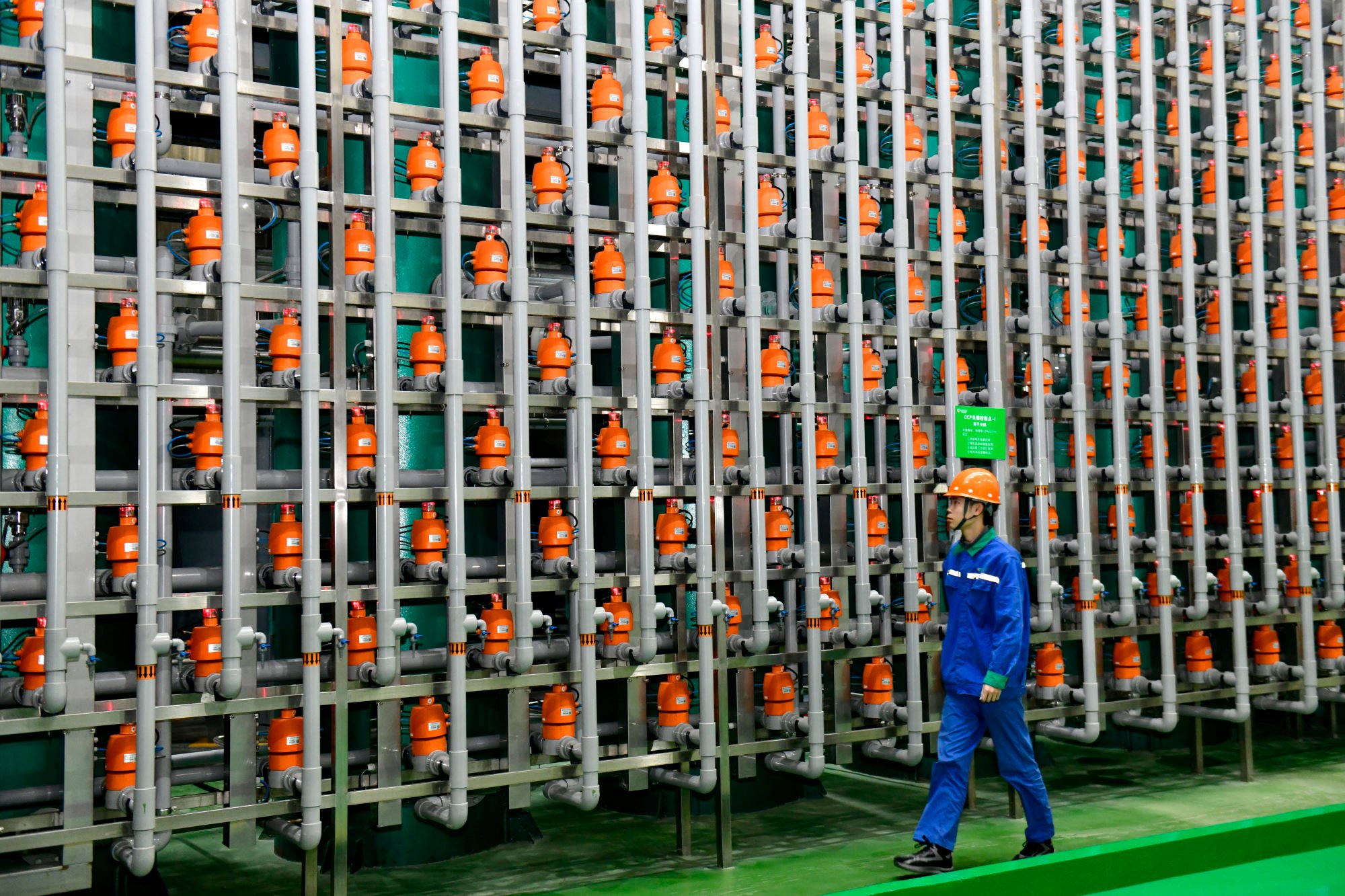 An employee checks a production line of a biotech company in Boxing County, in east China’s Shandong province. Photo: Xinhua