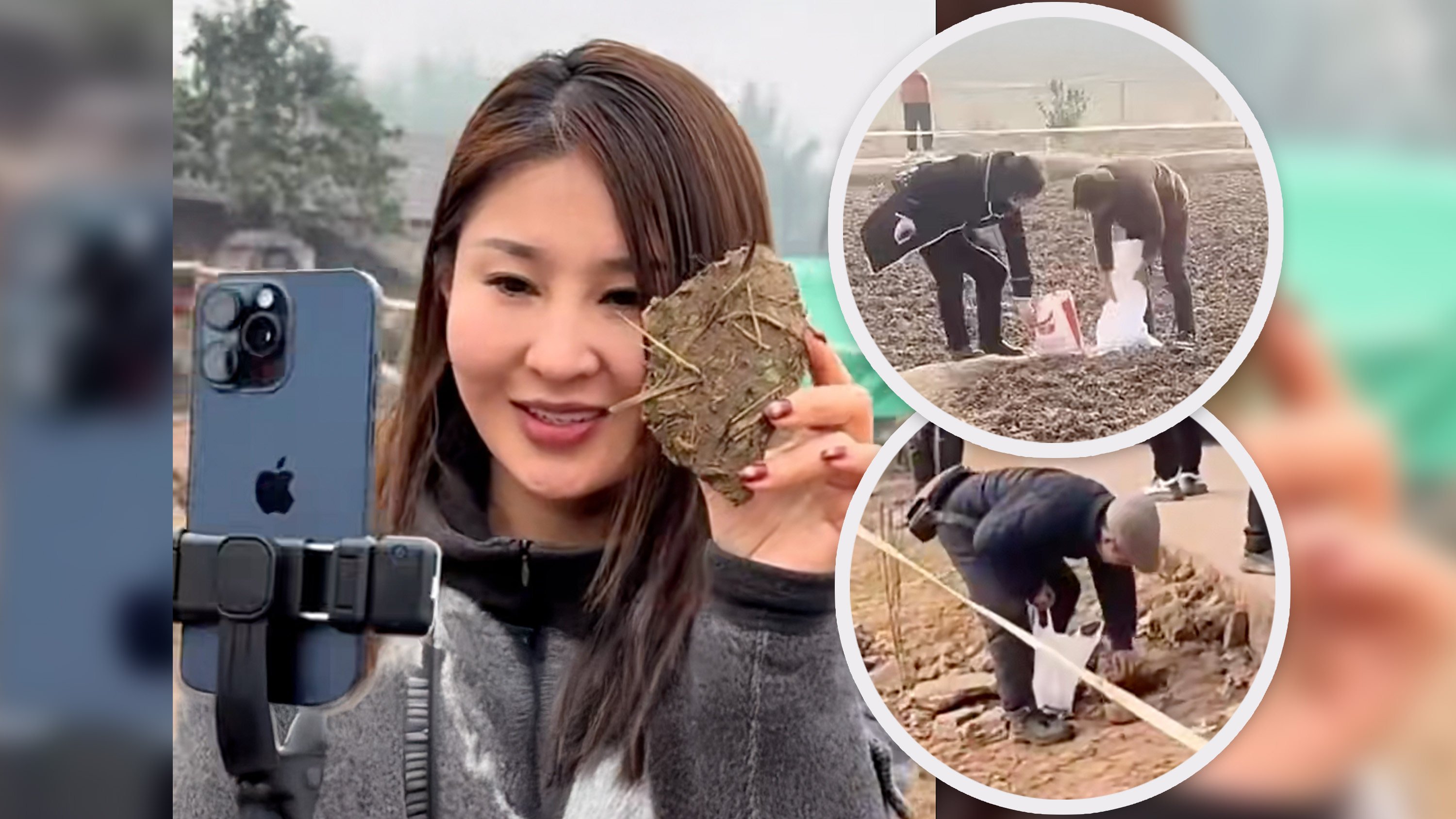 A Chinese woman went viral after she asked for volunteers to slaughter her two pigs. She gained two million online fans and her fame prompted soil from nearby land to be sold on the internet as a “lucky charm.” Photo: SCMP composite/Douyin