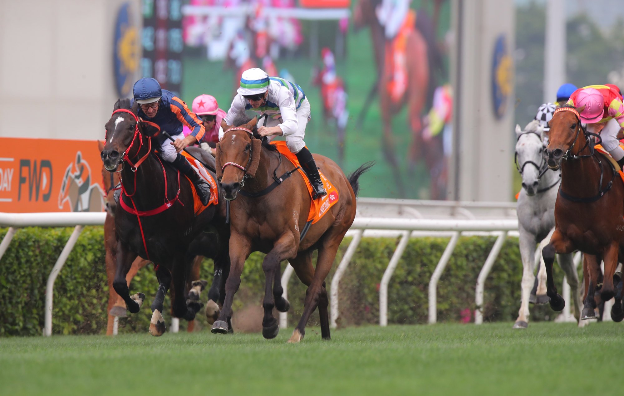 Red Lion (left) outbattles Voyage Bubble and My Wish (far-right) at Sha Tin last April. Red Lion (left) outbattles Voyage Bubble and My Wish (far-right) at Sha Tin last April.
