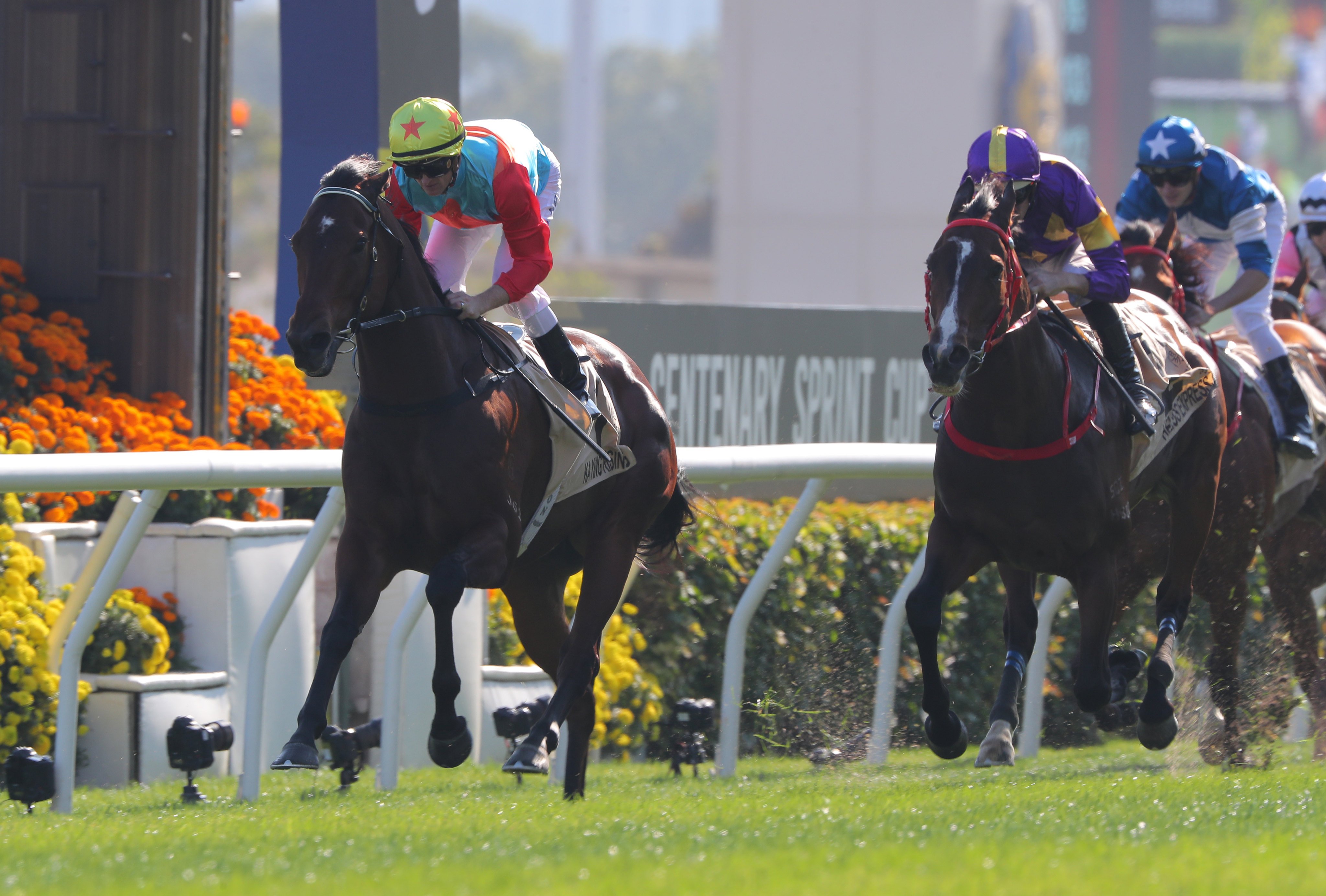 Ka Ying Rising wins at Sha Tin. Photos: Kenneth Chan