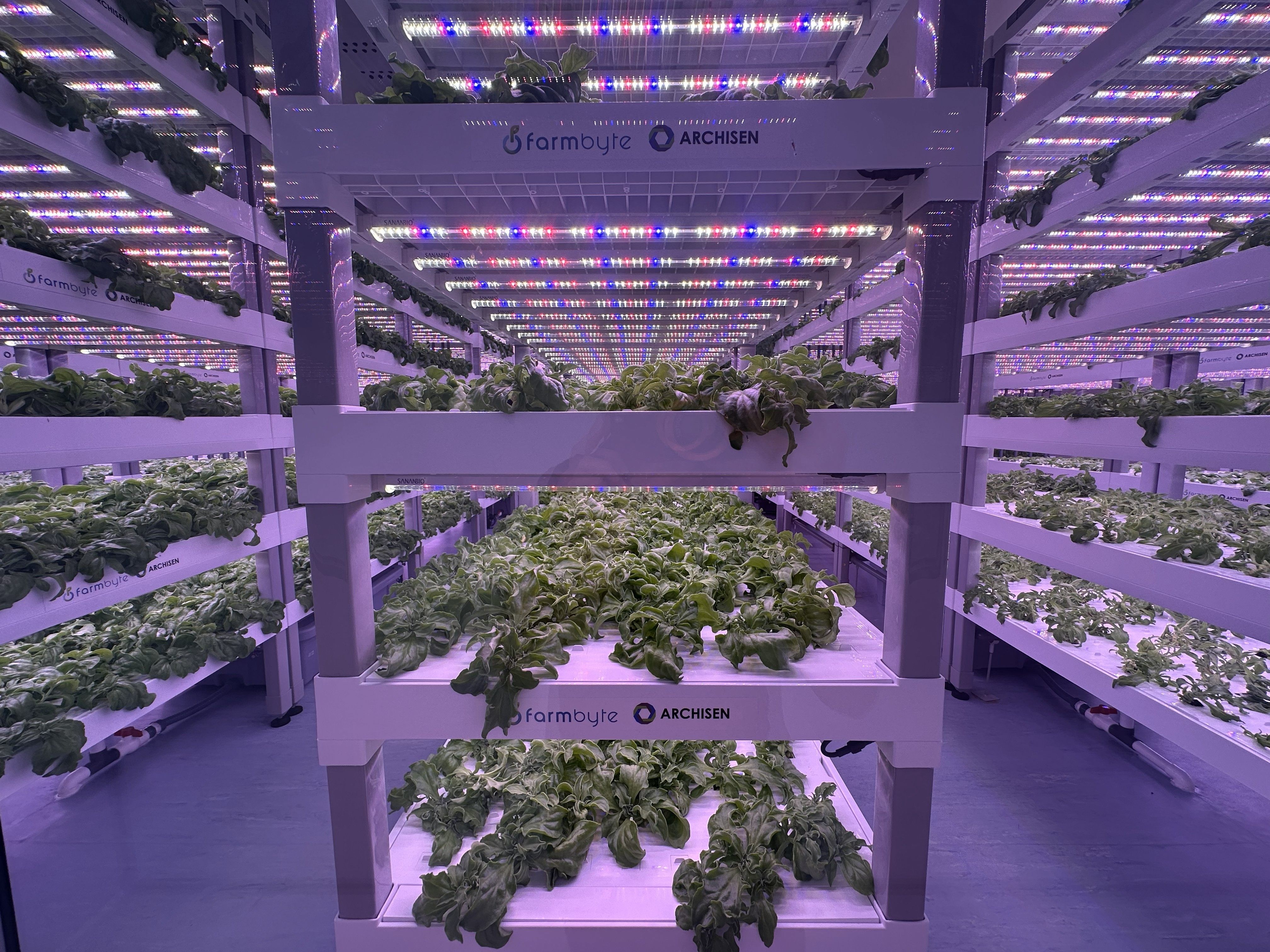 Singaporean urban farming company Archisen is expanding its operations in the Johor-Singapore Special Economic Zone. Photo: Archisen