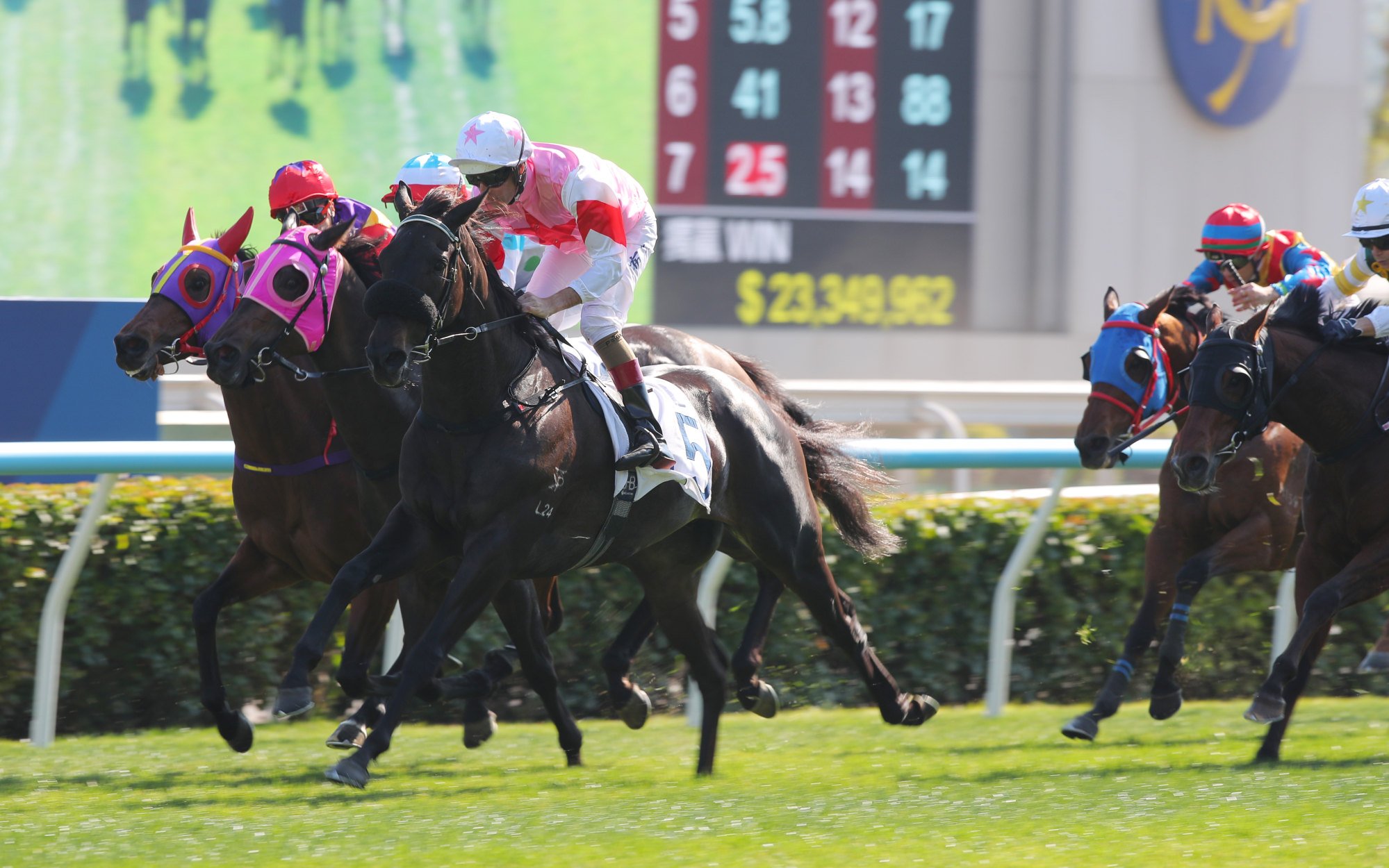 Hugh Bowman drives Turin Champions to victory.