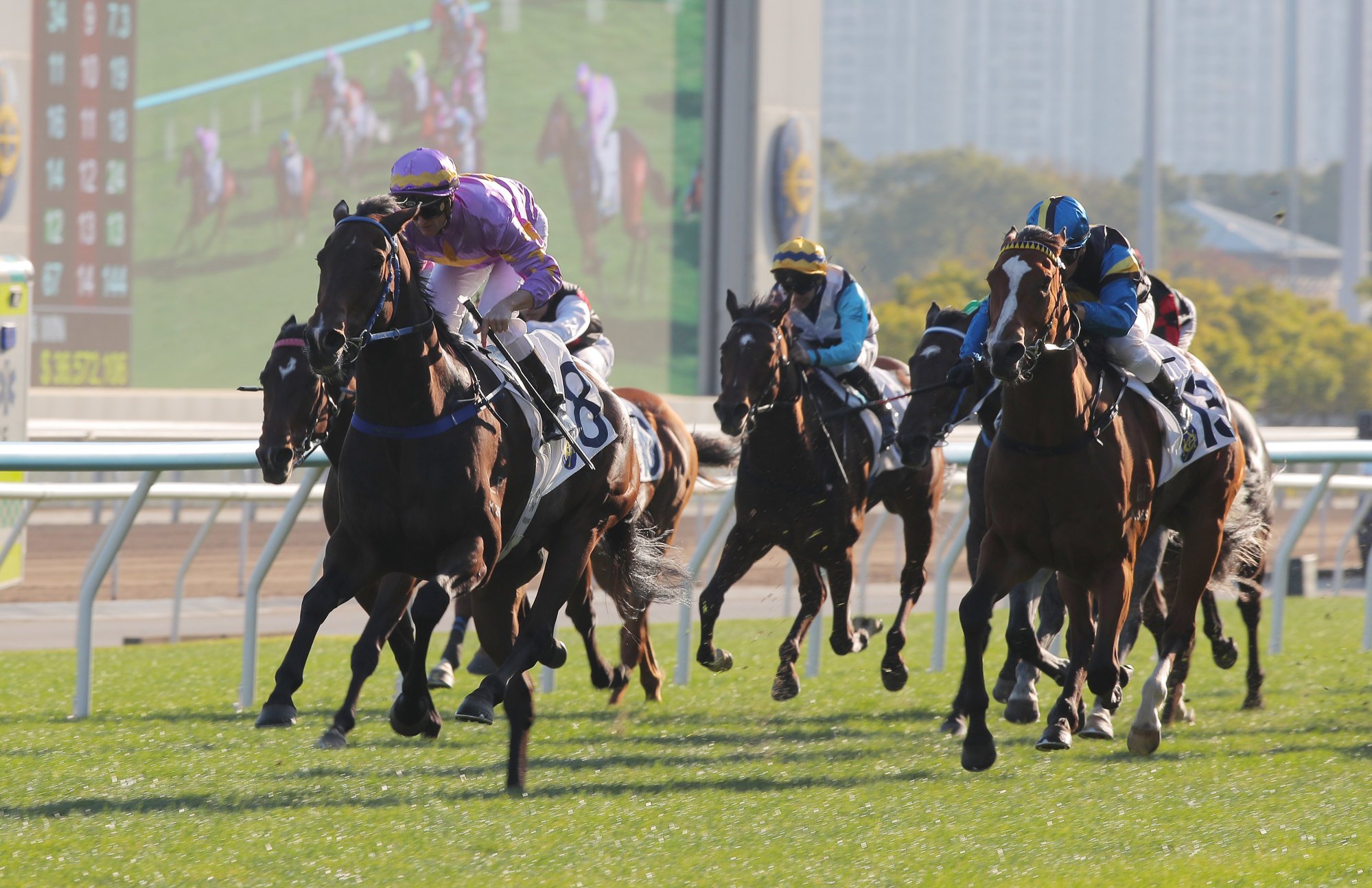 Infinite Resolve (outside) runs on late for second to Little Paradise. Infinite Resolve (outside) runs on late for second to Little Paradise.