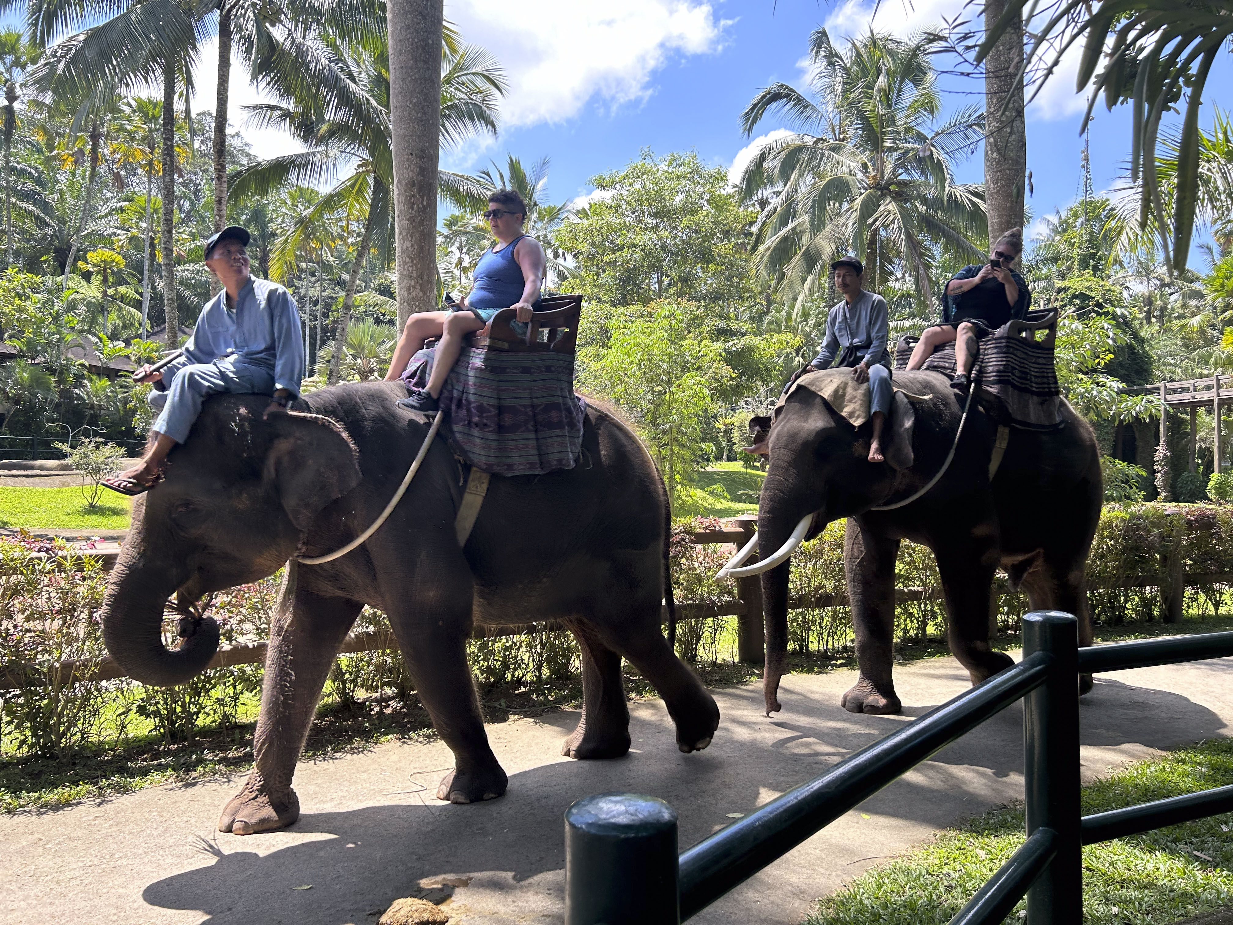 Tourists ride on elephants at Mason’s Elephant Park and Lodge, Bali, Indonesia. Photo: Dave Smith