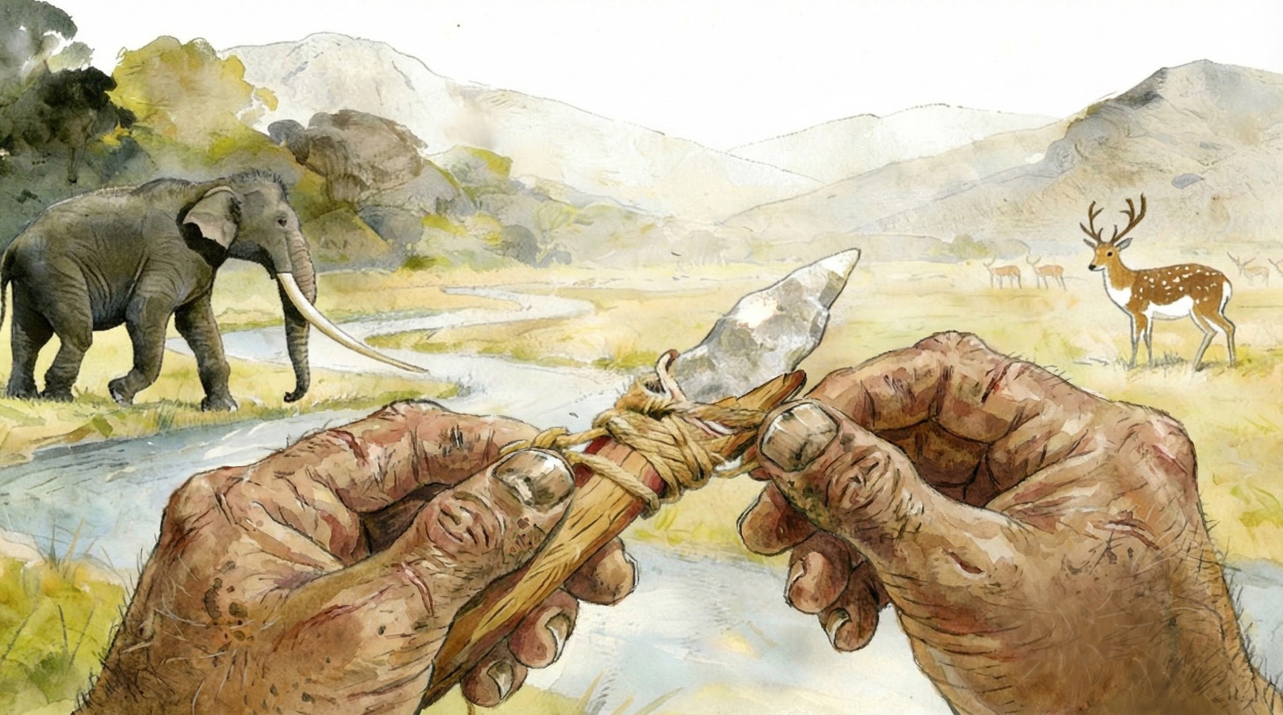 A new paper published in Nature Communications says the presence of hafted stone tools among discoveries in China shows “an understanding of how to enhance tool performance”. Image: Handout