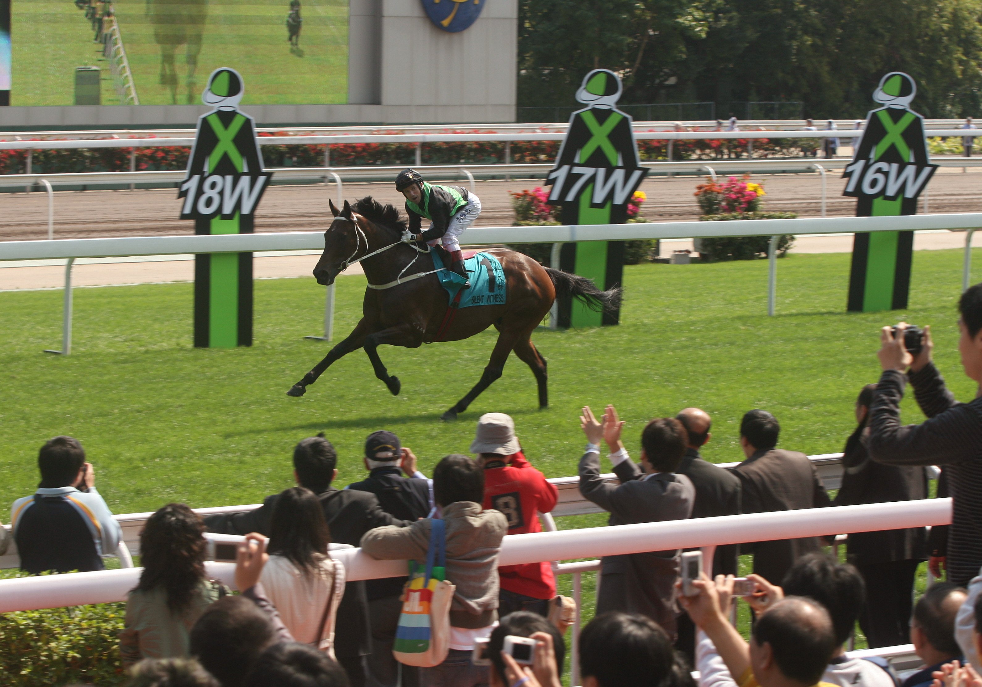 Silent Witness inspired Hong Kong during the dark days of Sars, putting on a streak of remarkable performances. Photo: SCMP