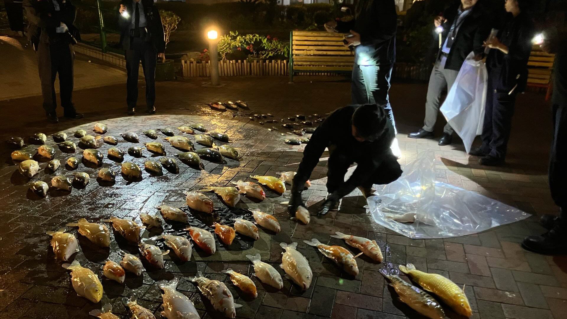 Fish pond cleaning turns deadly