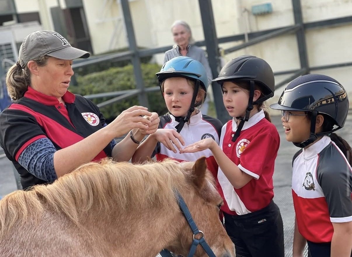 Children learn about how to care for horses as part of a Hong Kong Pony Club activity. The club helps nurture equine respect and skills, and fosters community through events and global connections. Photo: Instagram/HKPC