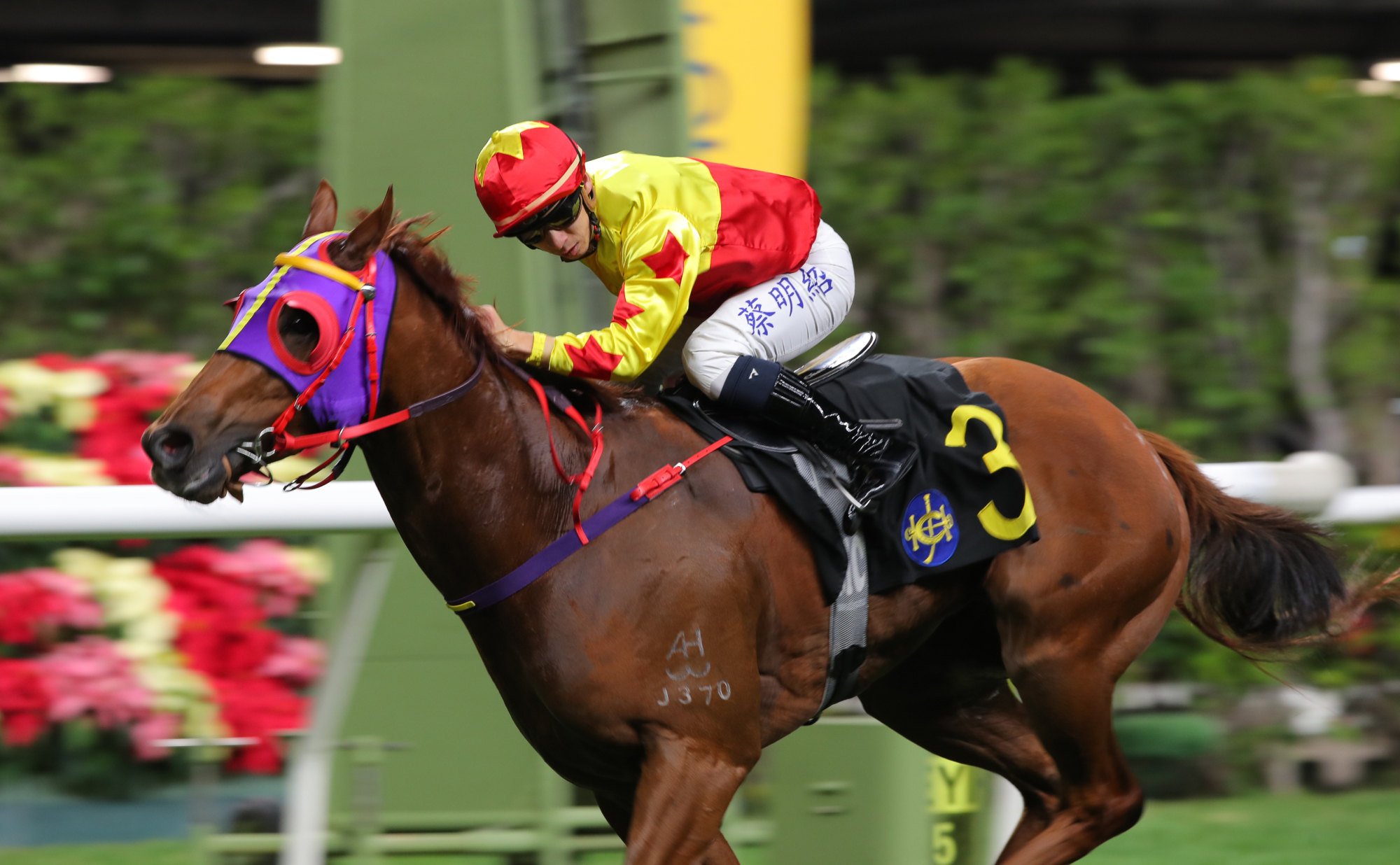 Matthew Chadwick’s last winner was California Blitz on December 23.