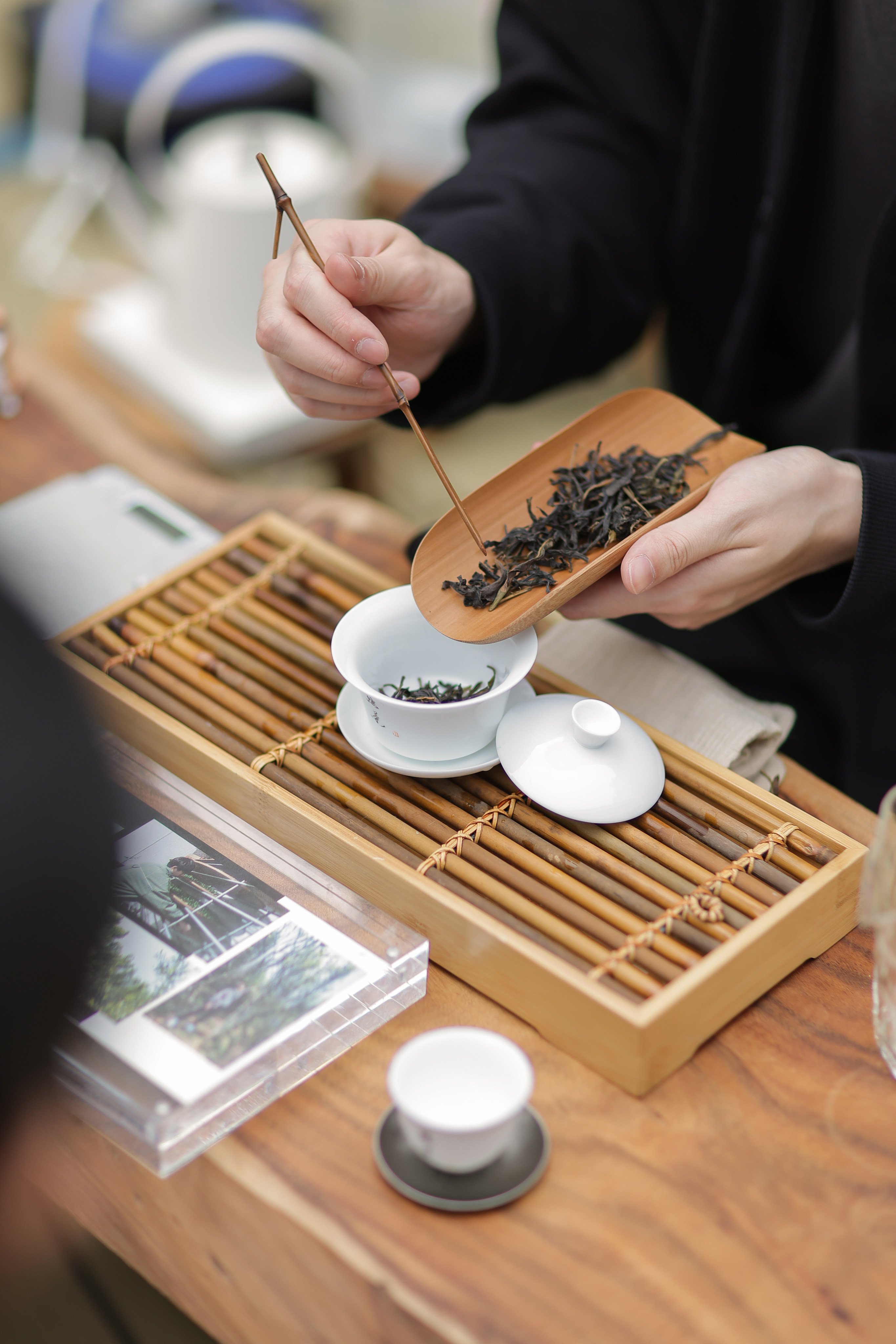 PMQ’s Tea Round 2026 festival is one of five things we recommend checking out this weekend in Hong Kong. Photo: Tea Round, PMQ
