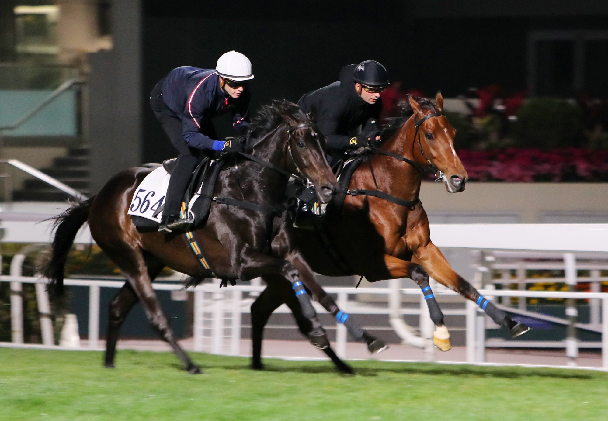 Crimson Flash (inside) works under Andrea Atzeni.