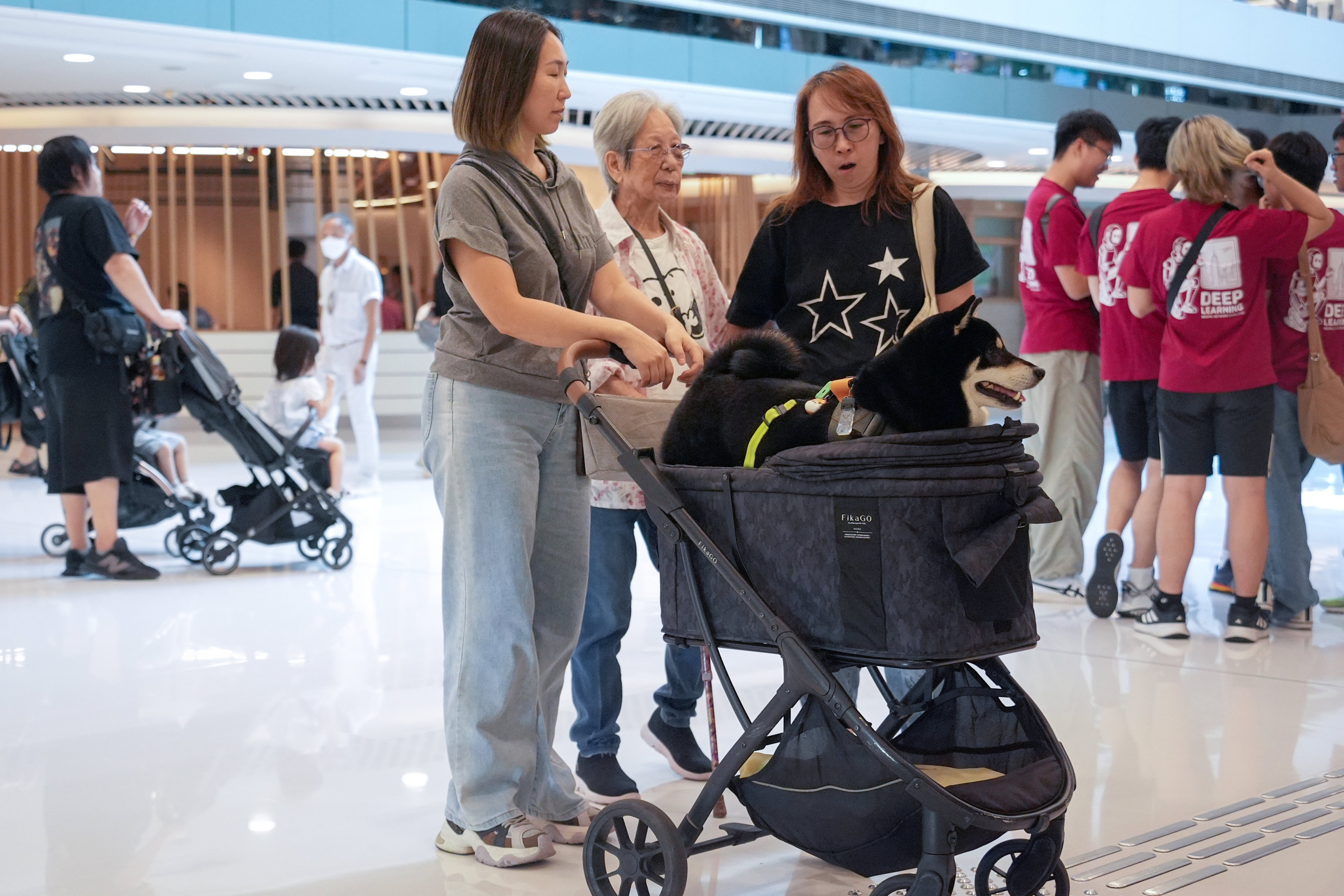 Hongkongers take their dog to a pet-friendly mall in Sha Tin. Photo: Eugene Lee
