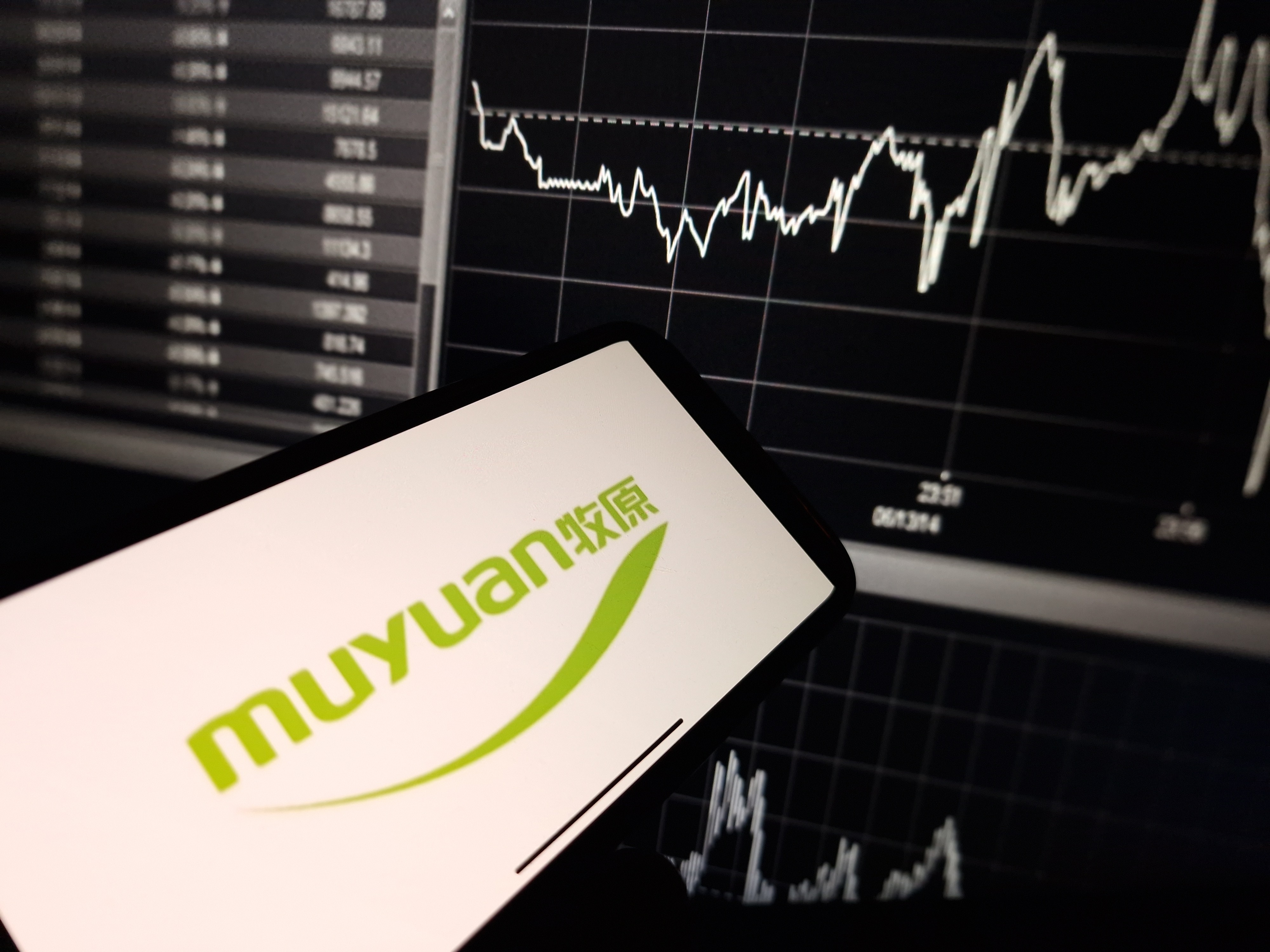 Muyuan Foods, the world’s largest hog firm, plans to sell about 274 million new shares at up to HK$39 each. Photo: Shutterstock