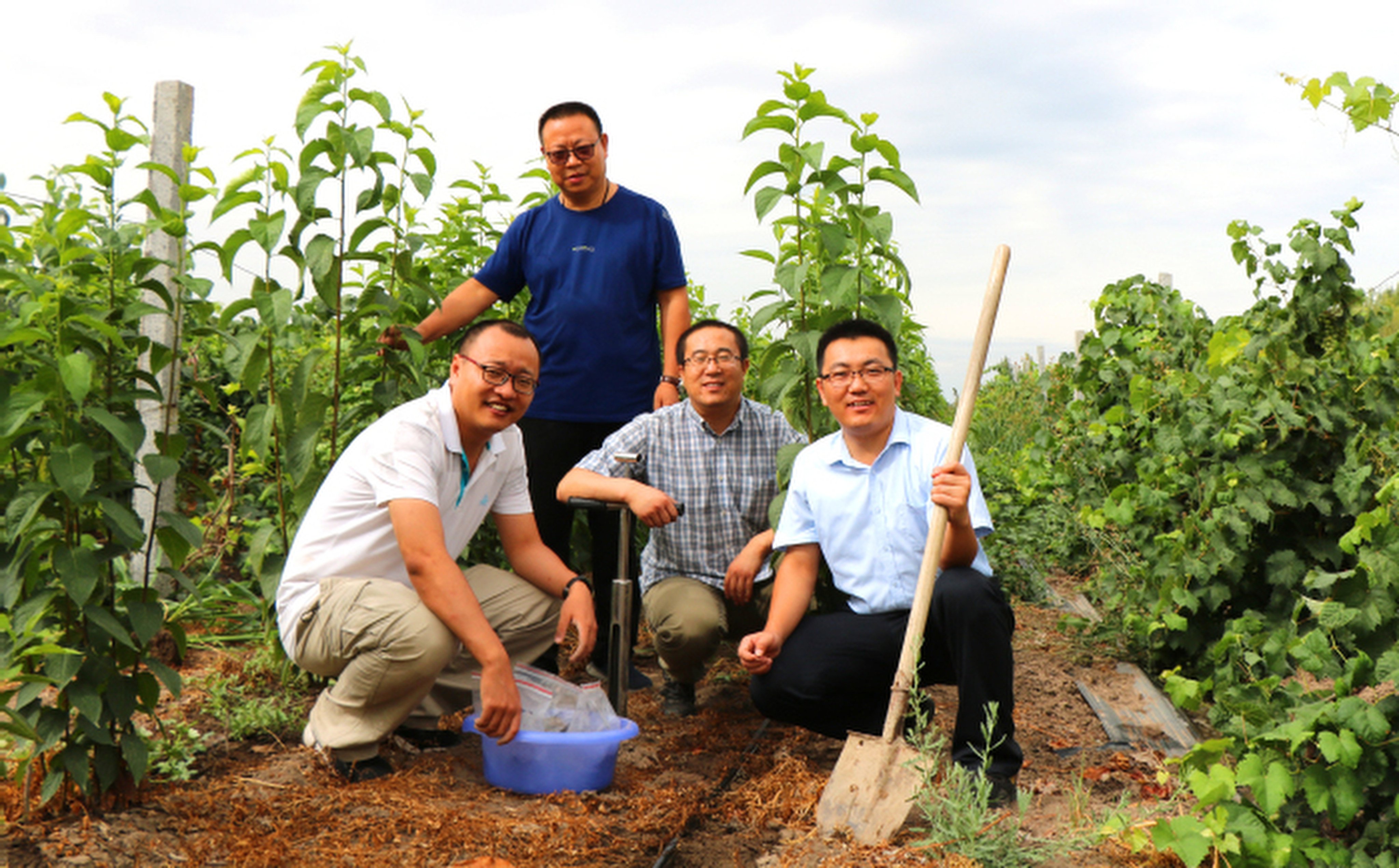 Chinese scientists including Zhu Mingqiang (right) of Northwest A&F University are behind a thriving project to plant high-value alternative “rubber trees” in the Gobi Desert. Photo: Handout