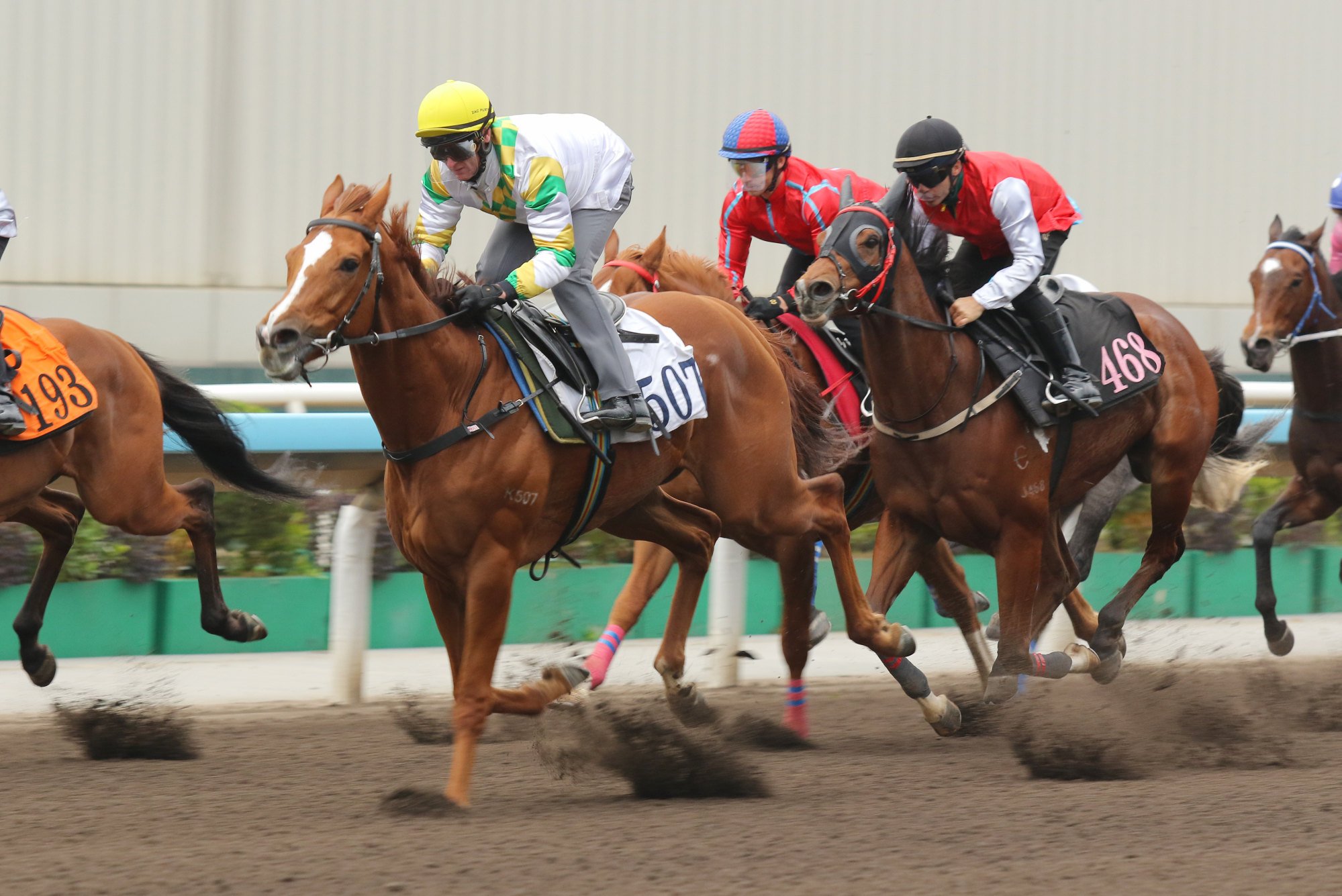 Sagacious Life wins a dirt trial last week.