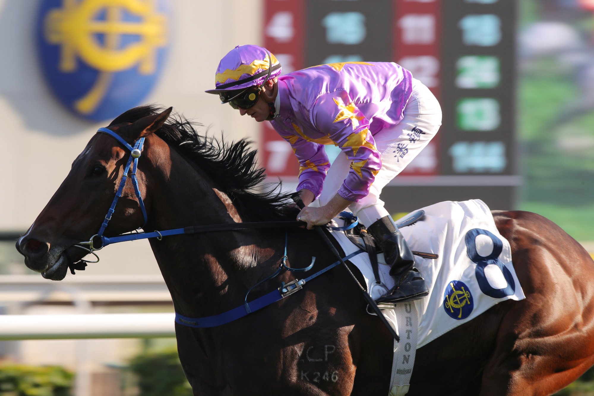 Little Paradise wins the Class Two Racing Club Cup under Zac Purton.