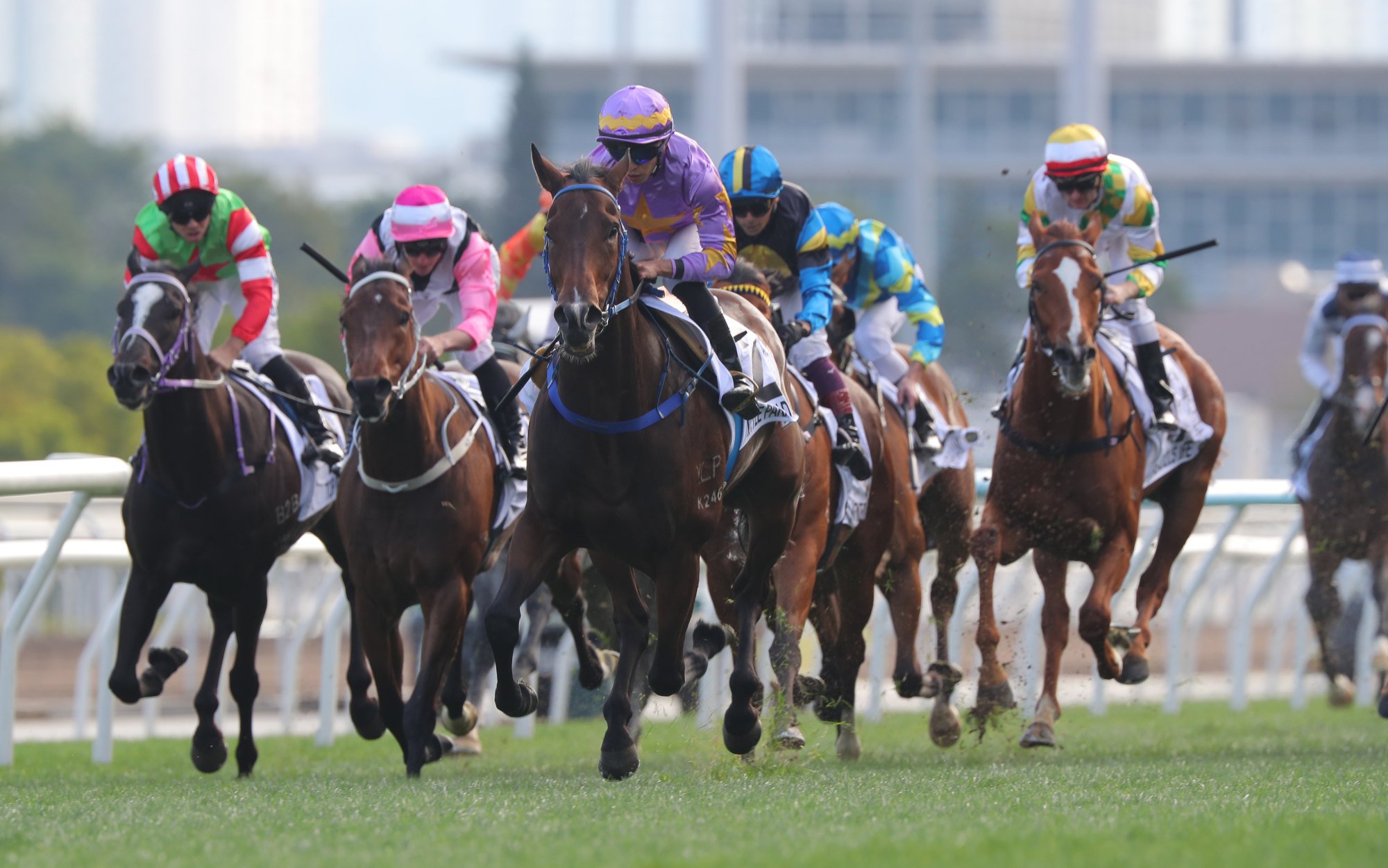 Vincent Ho boots home Little Paradise. Vincent Ho boots home Little Paradise.