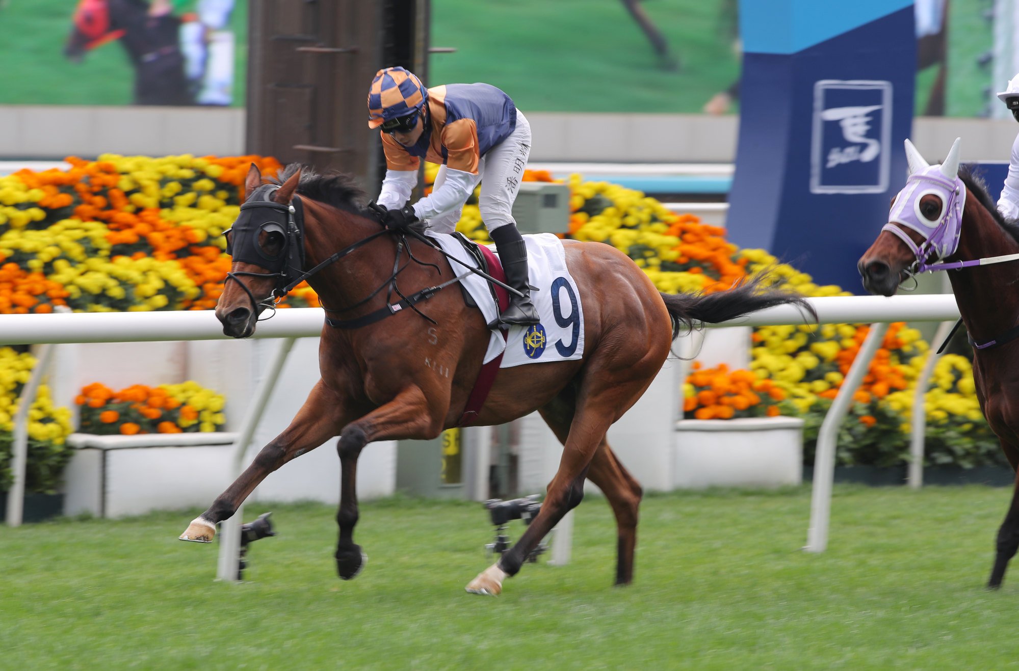 Shotgun scores under Matthew Poon. Shotgun scores under Matthew Poon.