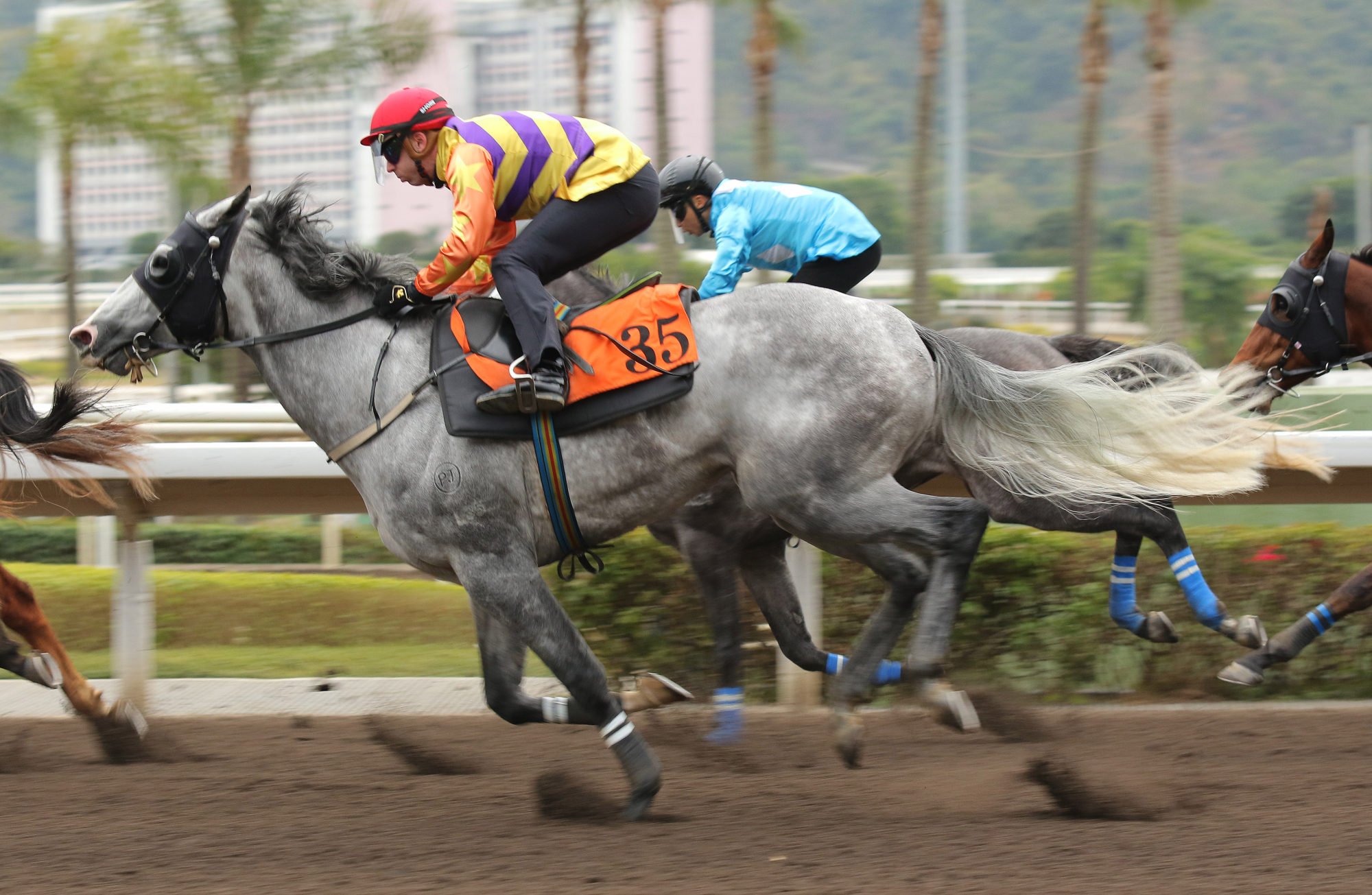 Public Attention trials at Sha Tin. Public Attention trials at Sha Tin.