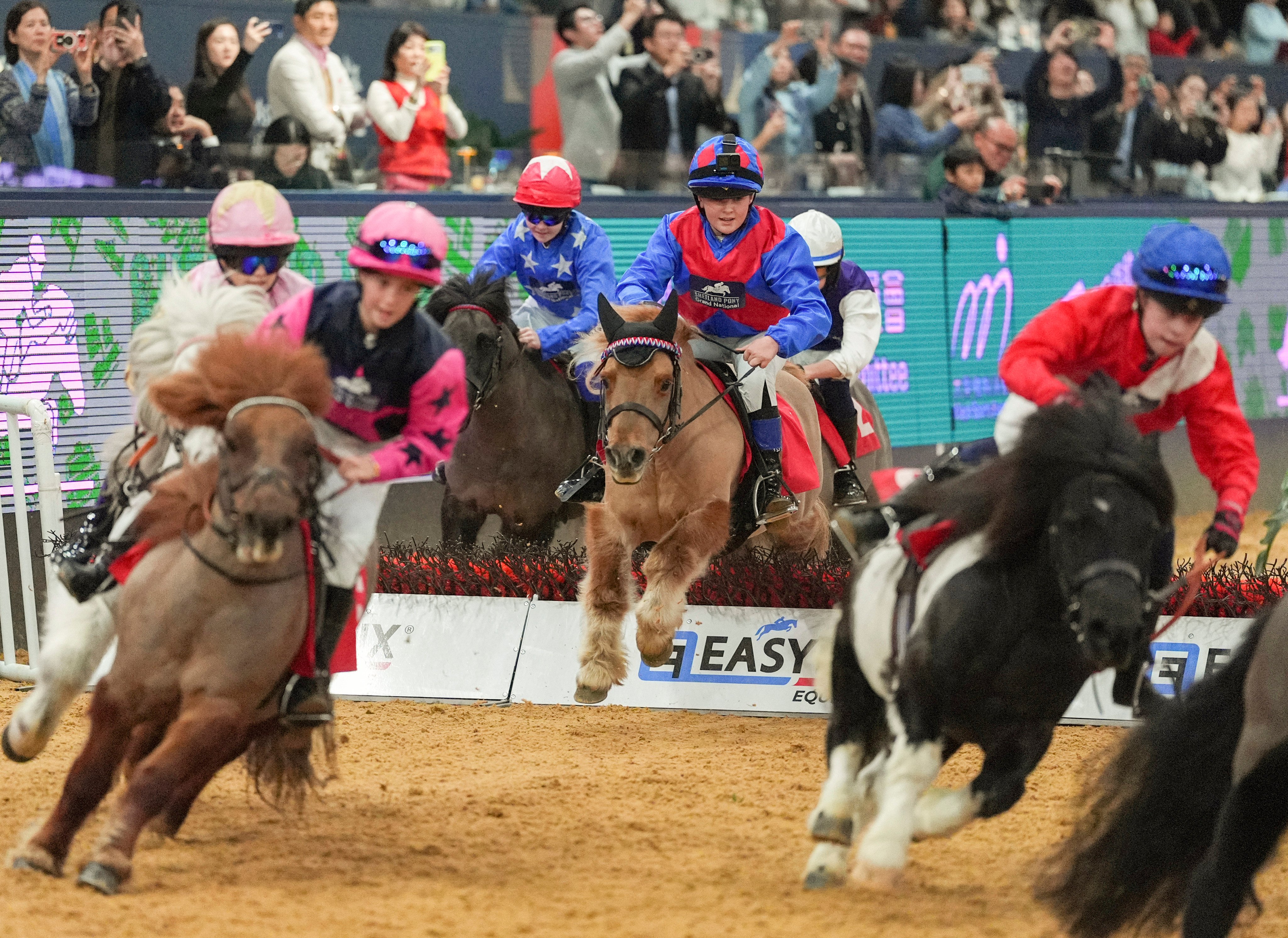 The Shetland Pony Grand National on day 3 of the Longines Hong Kong International Horse Show 2026 at AsiaWorld-Expo in Chek Lap Kok, taken on February 1, 2026. Photo: Eugene Lee