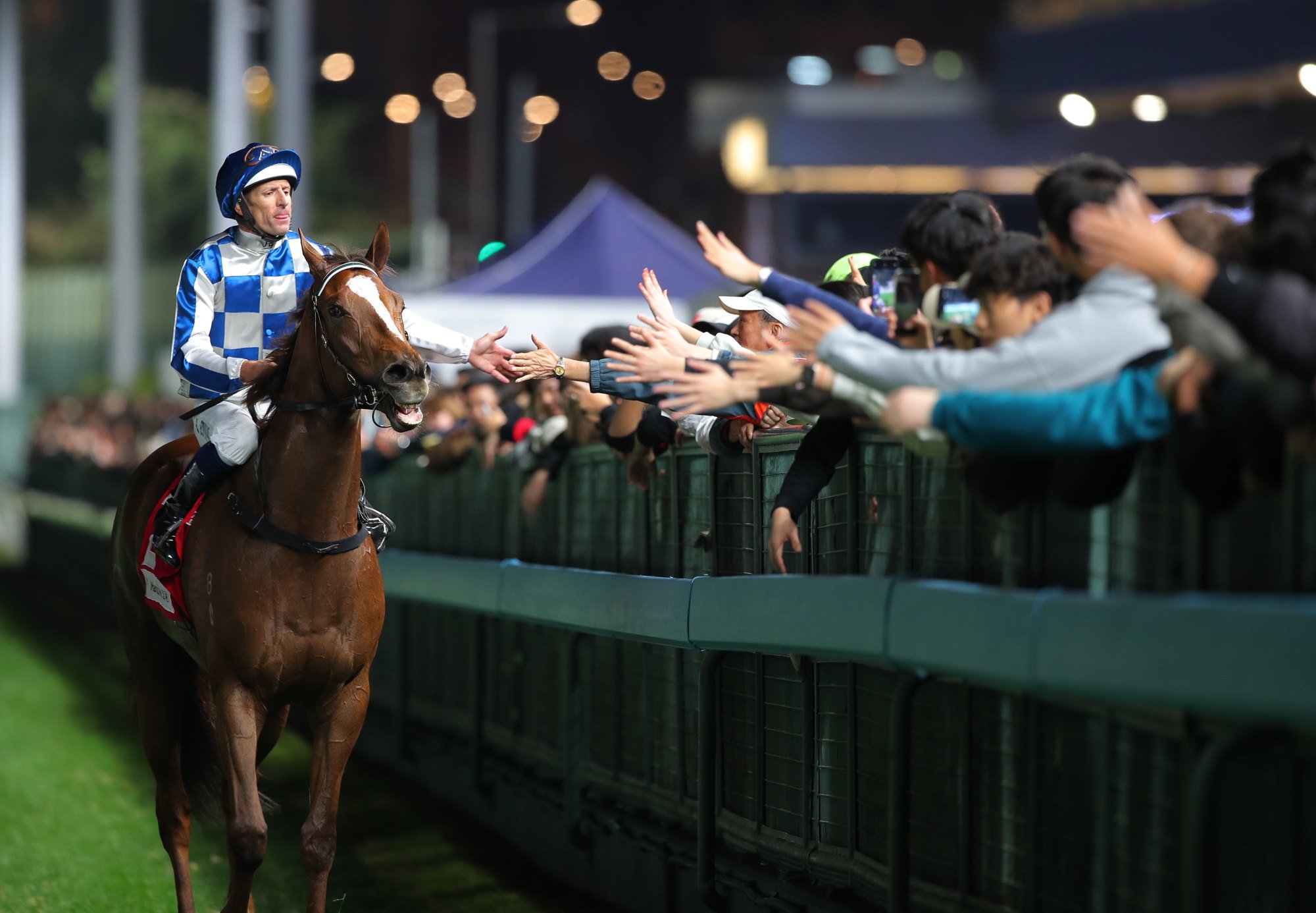 Storm Rider and Hugh Bowman after a recent victory at the Valley.