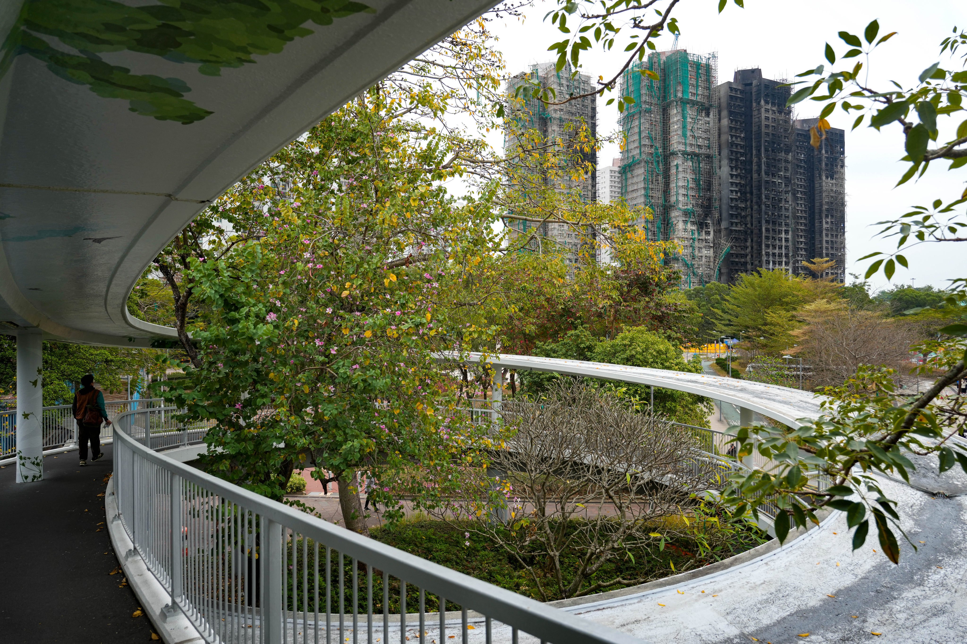Wang Fuk Court was under renovation at the time of the fatal fire. Photo: Sam Tsang