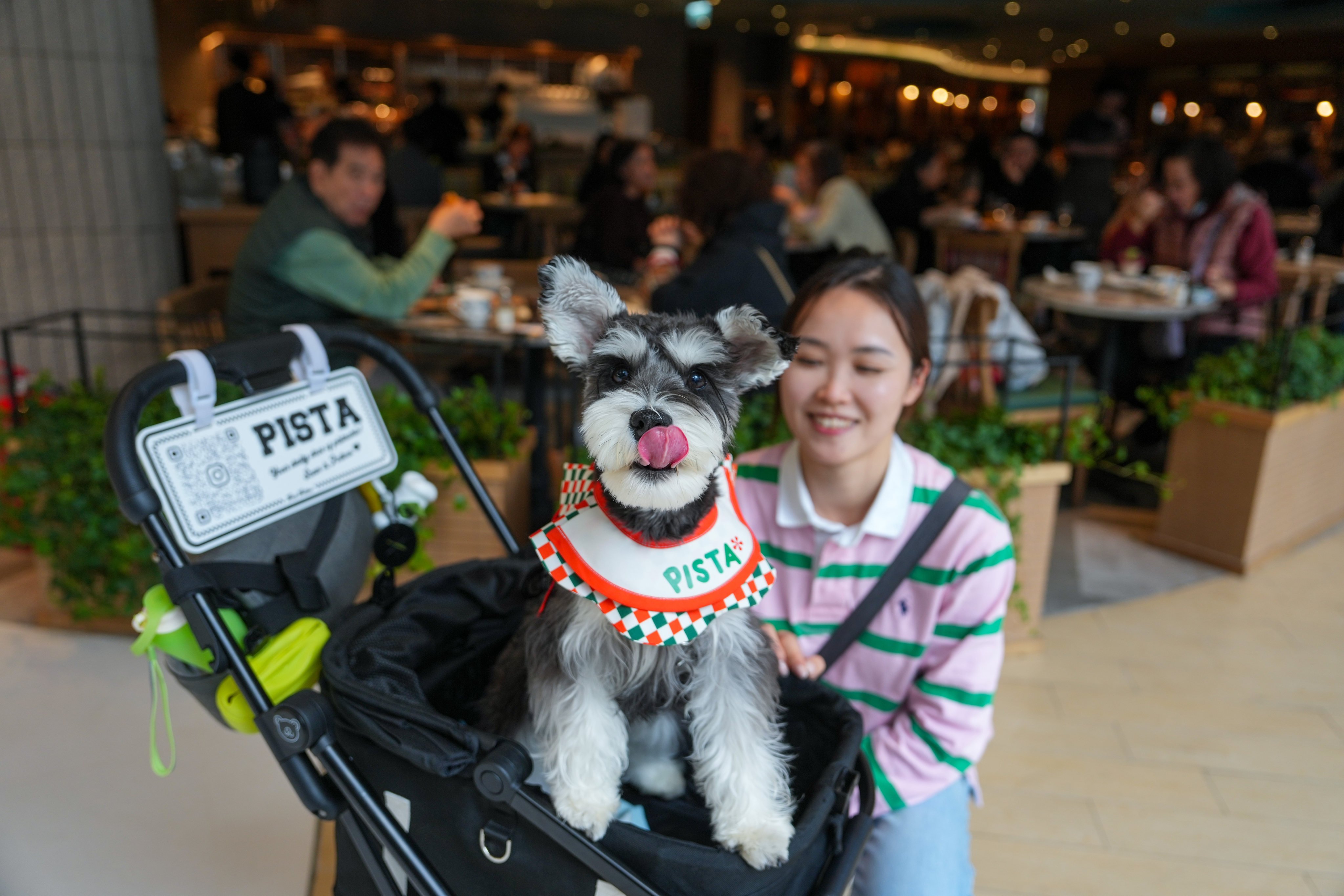 A woman with her dog outside a restaurant in Sha Tin’s New Town Plaza. Photo: Sam Tsang