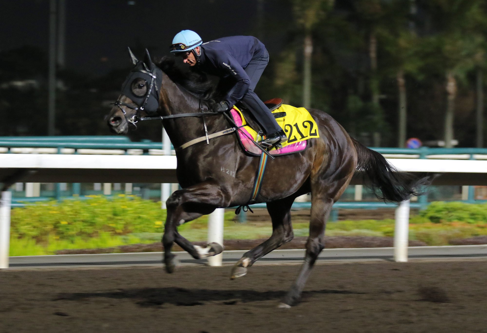Chancheng Glory gallops under Zac Purton on Thursday morning.