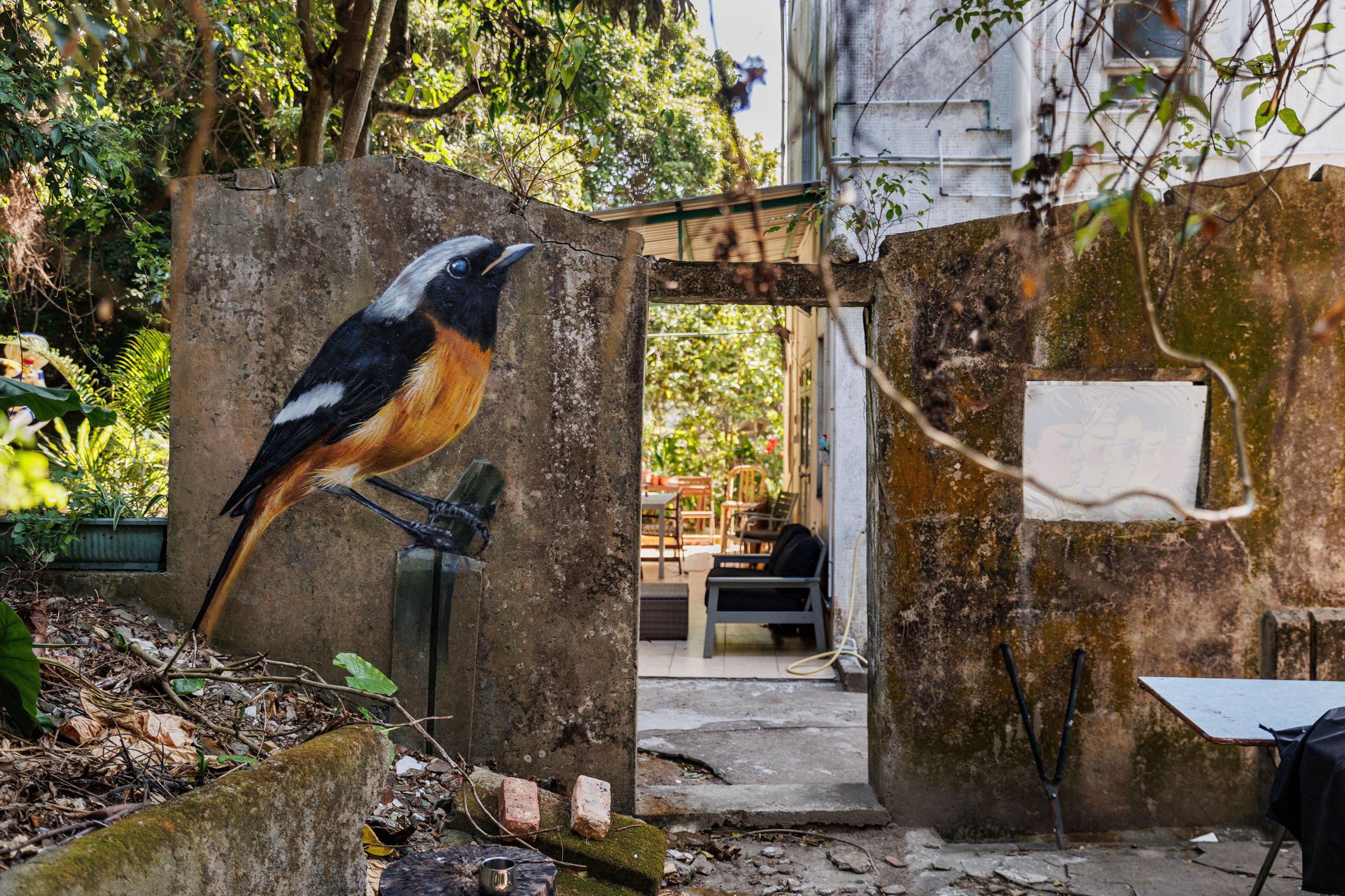 A daurian redstart is seen painted on the wall of an abandoned house in Wang Tong village on Hong Kong’s Lantau Island. Photo: AP