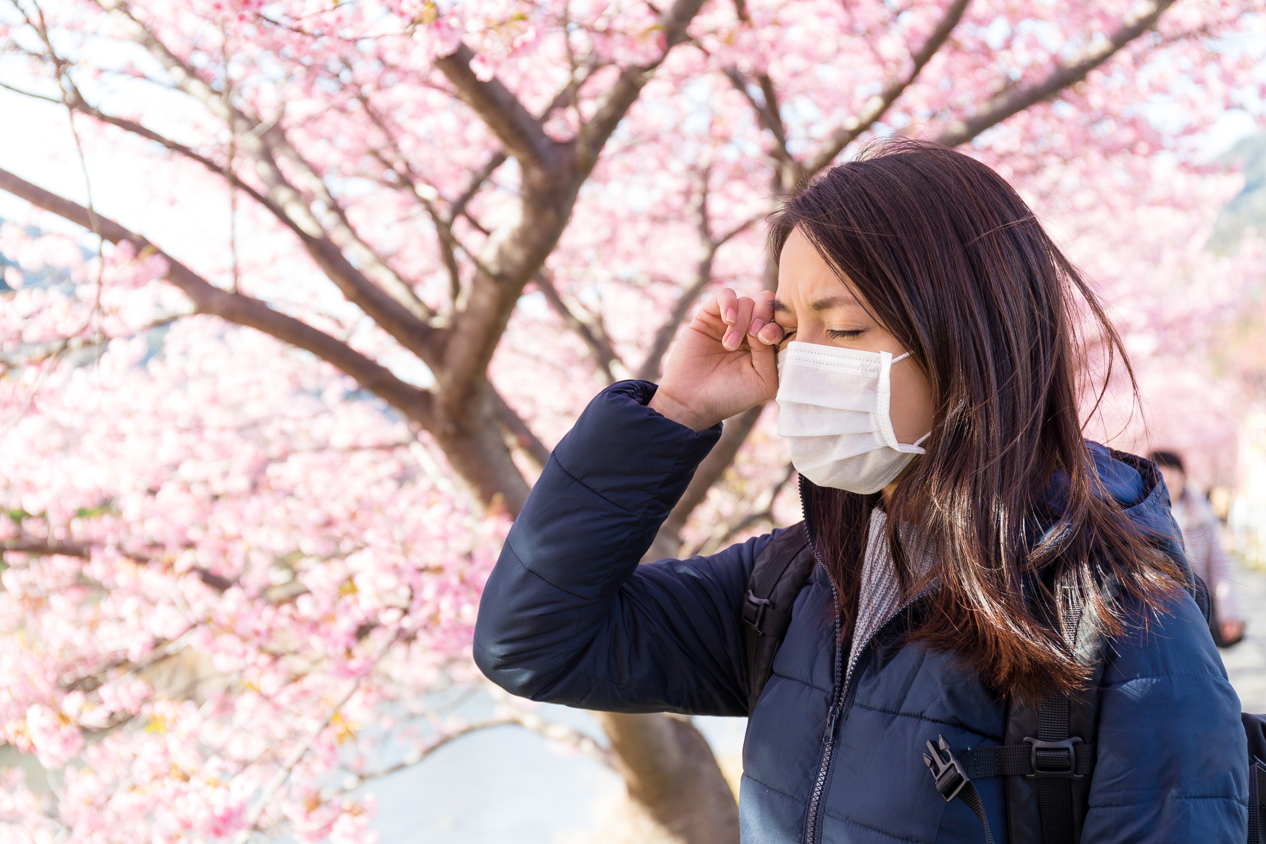 A woman having an allergic reaction to pollen under a sakura tree. Photo: Shutterstock