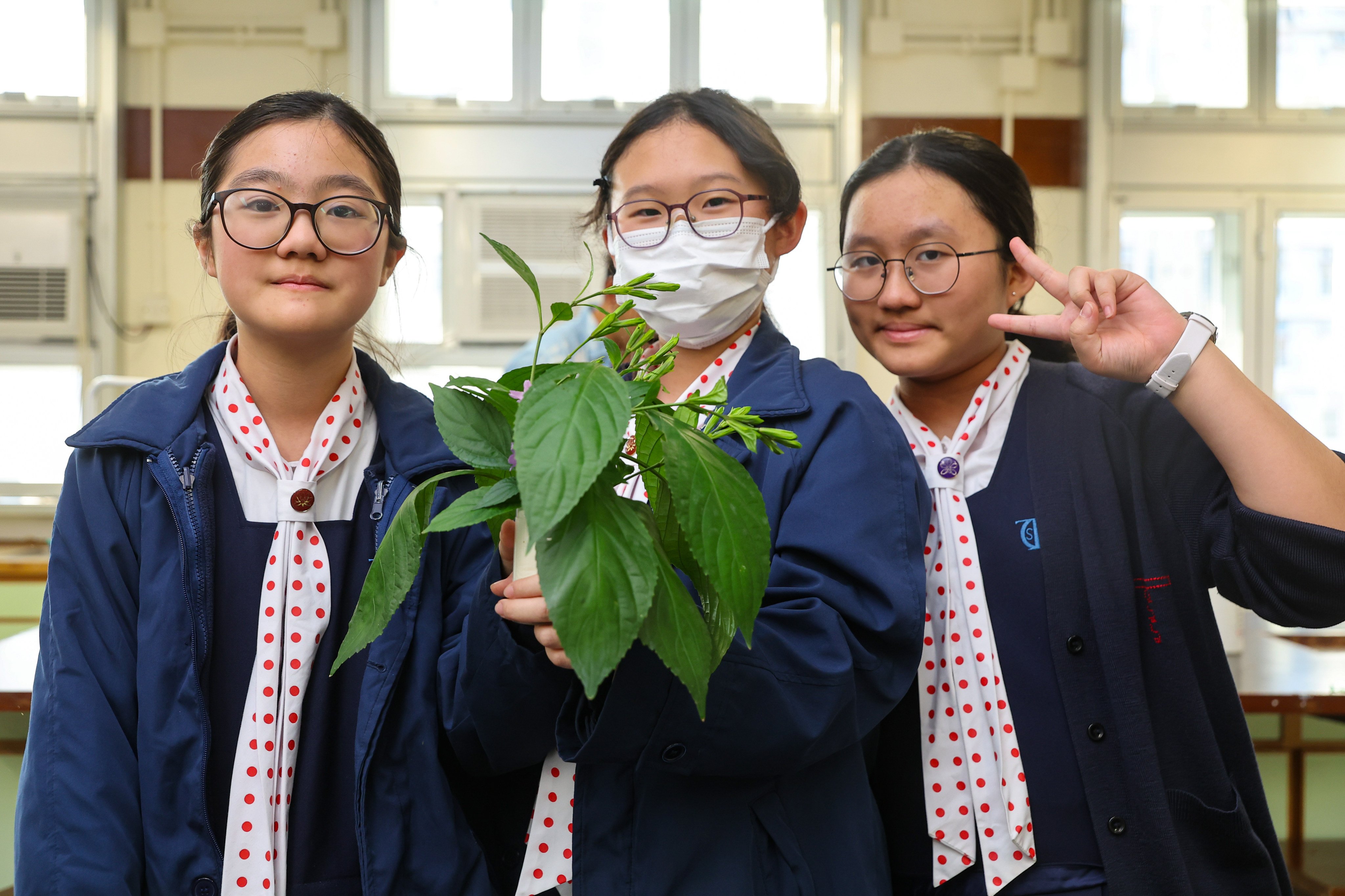 Students at Tak Oi Secondary School hold the leaves of Chinese indigo as they learn about how to turn it into a natural dye. Photo: Edmond So
