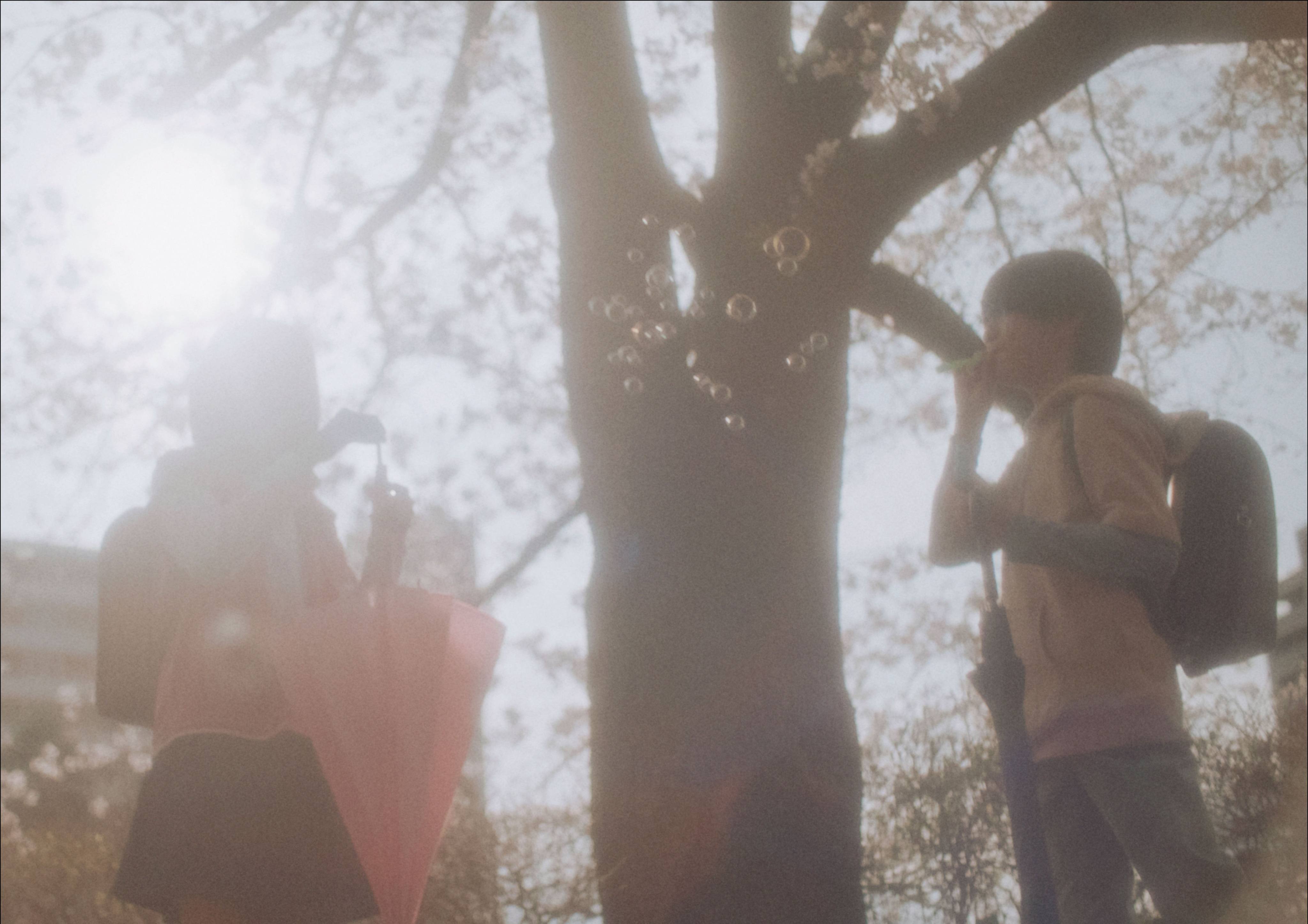 Makoto Shinkai’s story about the pain of connections that drift apart returns to the big screen under the direction of Yoshiyuki Okuyama. Photos: Handout