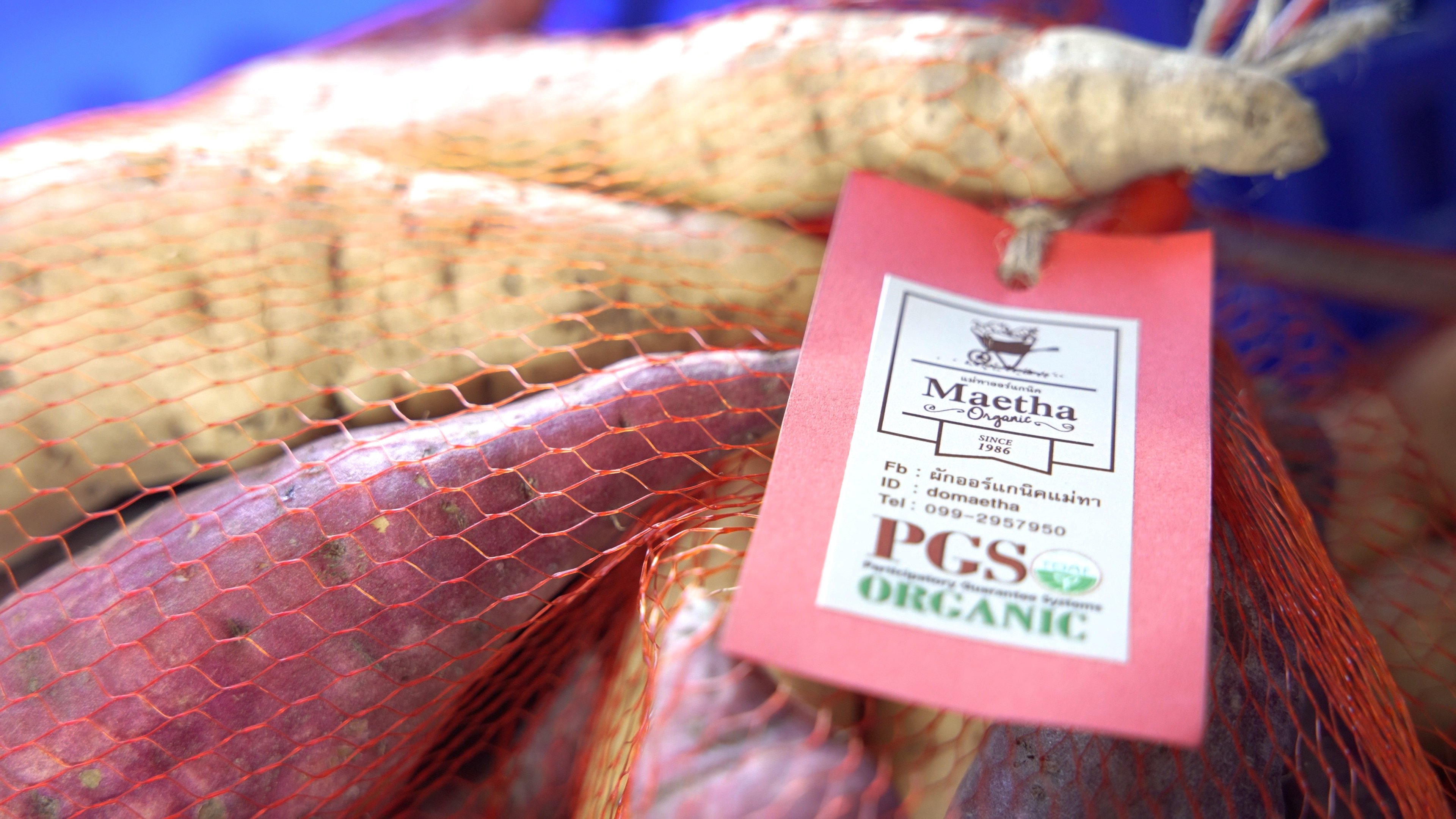 The Chiang Mai collective convincing Thai farmers to go organic for better profits