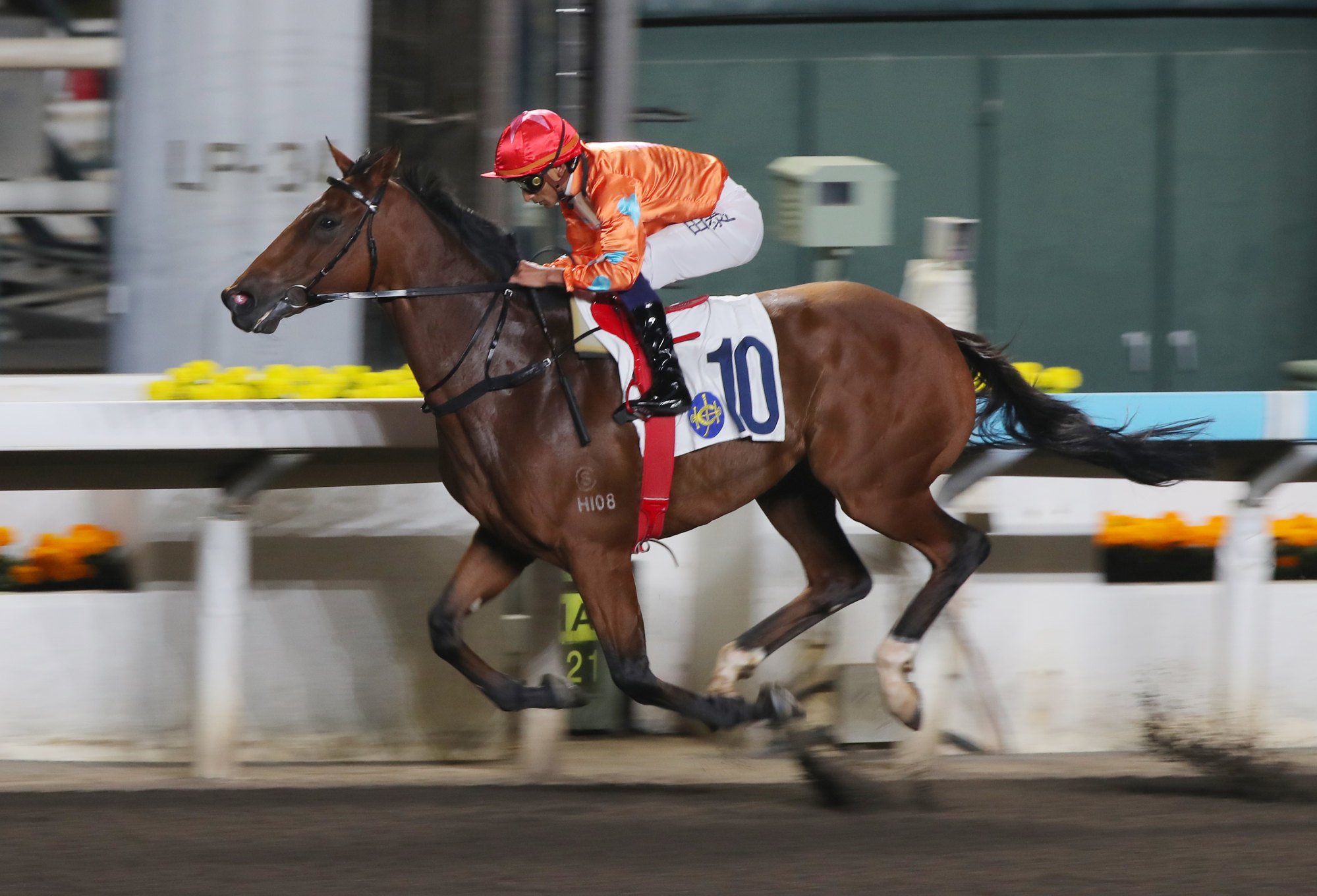 Speedy Smartie crushes his rivals last start.