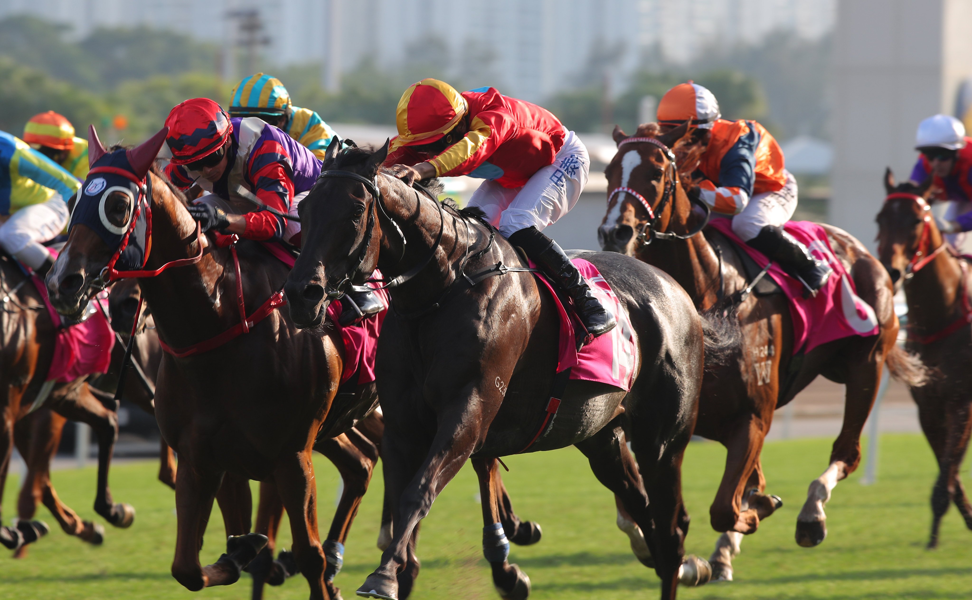 Karis Teetan lifts Encountered to victory in the Sa Sa Ladies’ Purse. Photos: Kenneth Chan