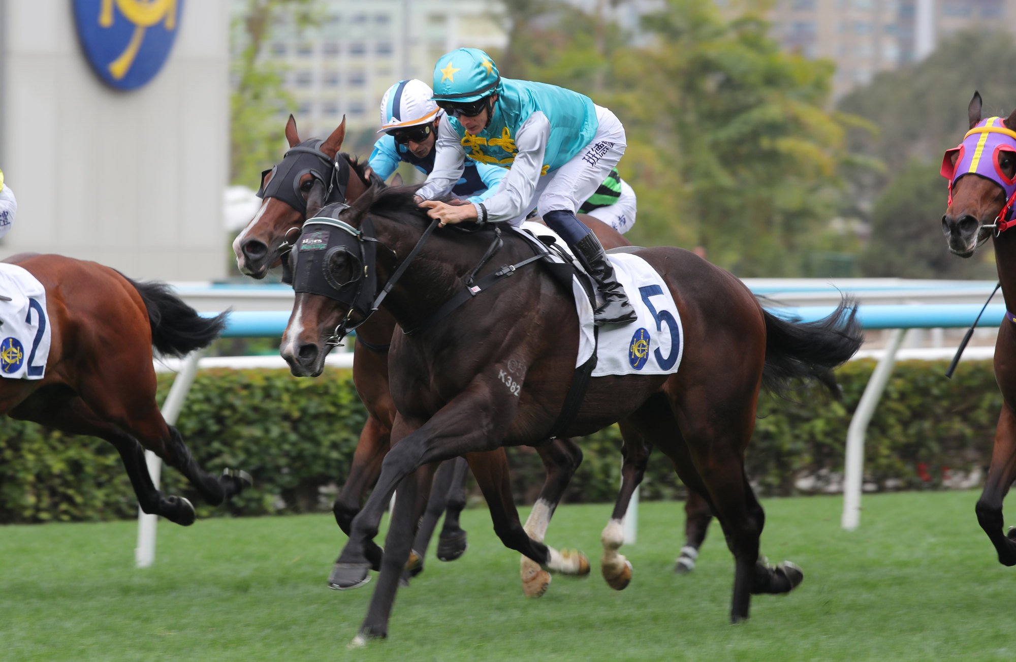All Round Winner dots up at Sha Tin.
