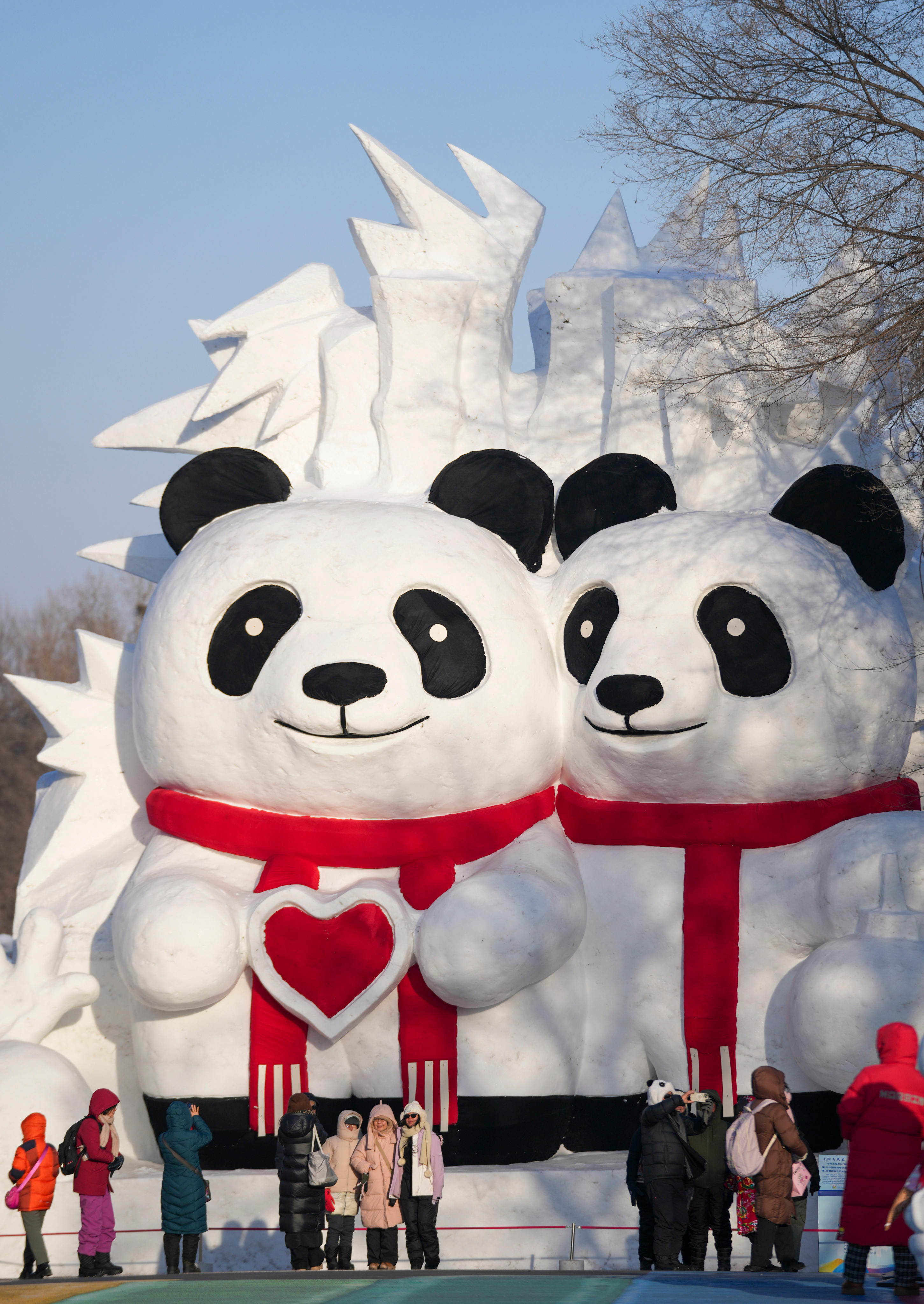 Tourists take photos with giant panda-shaped snow sculptures at the 38th Sun Island International Snow Sculpture Art Expo in Harbin, China on January 8, 2026. The exhibition area spanned 1.5 million square metres and attracted visitors with its stunning ice and snow landscapes. Photo: Xinhua