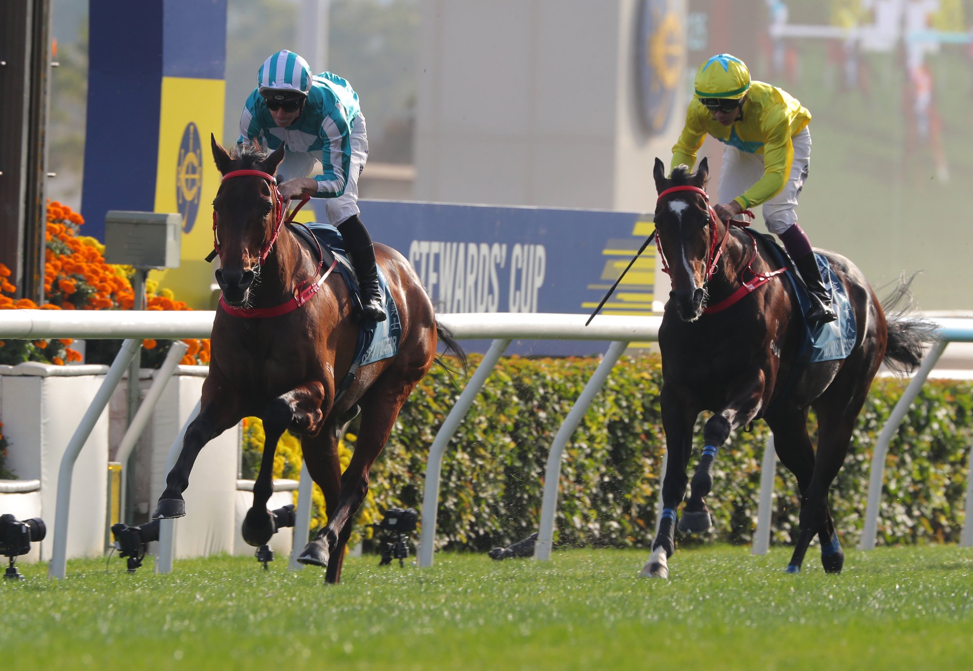 Lucky Sweynesse trails Romantic Warrior home in the Stewards’ Cup.
