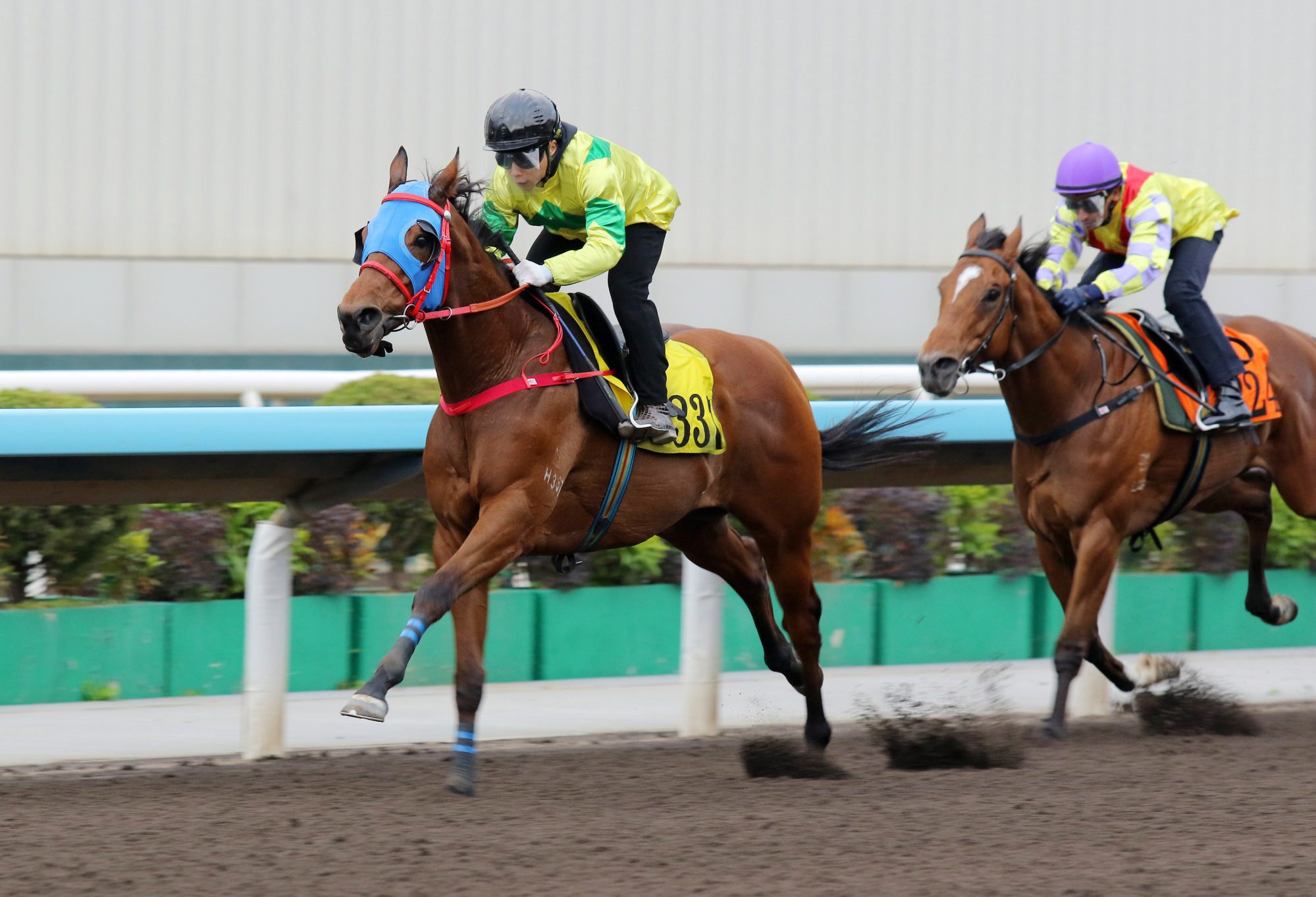 Self Improvement wins a dirt trial at Sha Tin last month.
