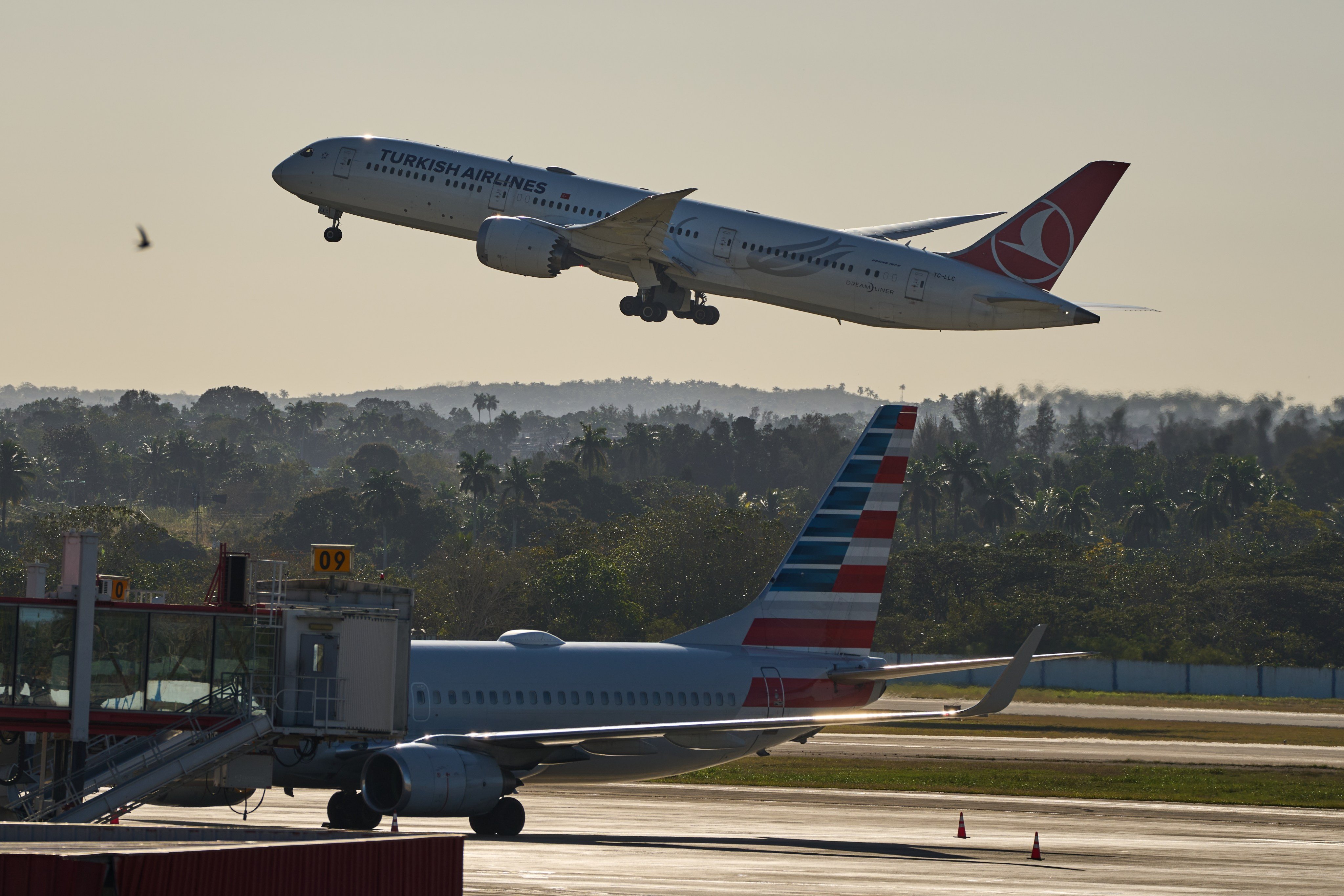 A Turkish Airlines plane takes off at Jose Marti International Airport in Havana, Cuba on Monday. Photo: AP