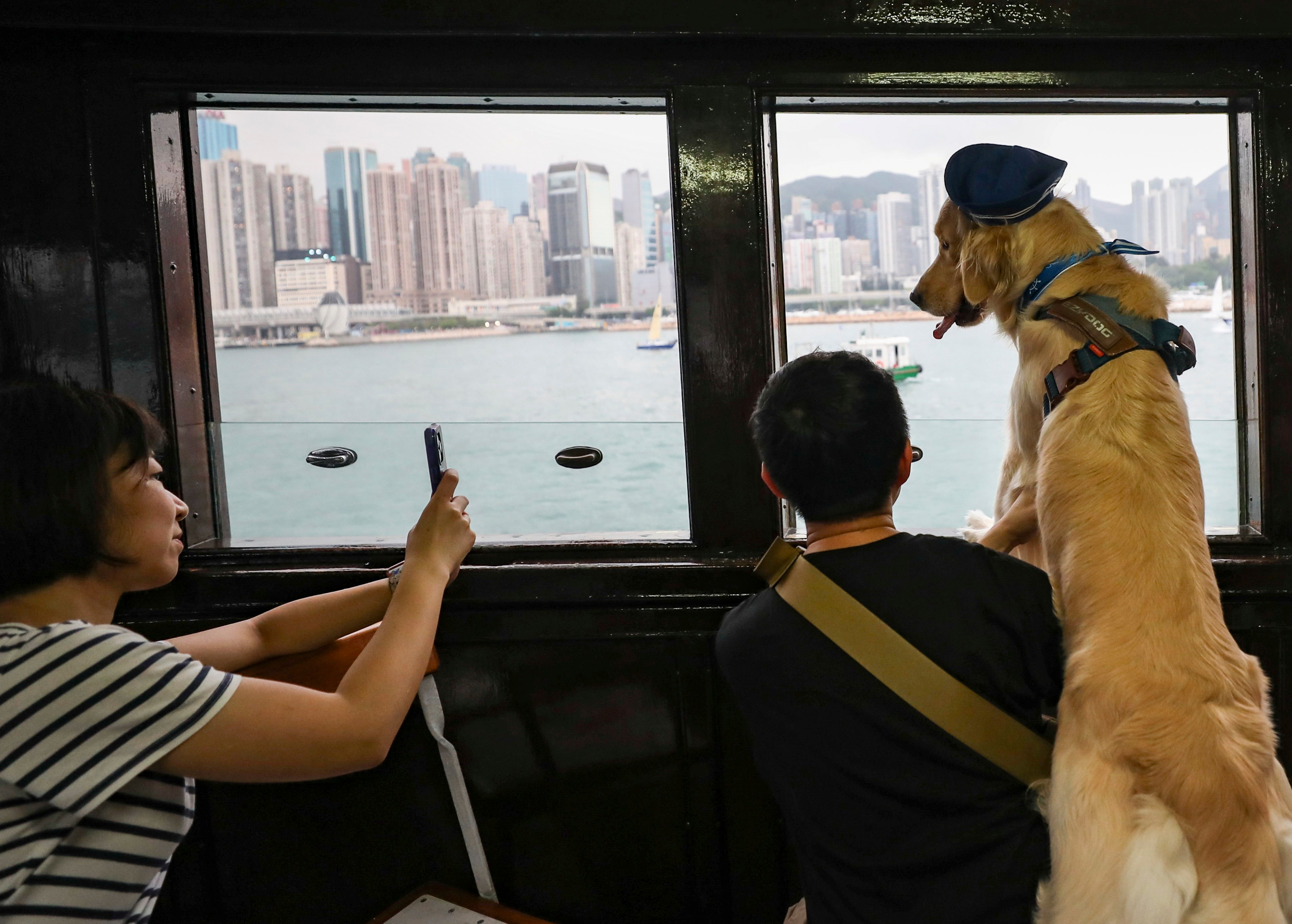 Dogs and their owners take the Star Ferry during a “Shipcation” organised by the Society for the Prevention of Cruelty to Animals in 2023. Photo: Xiaomei Chen