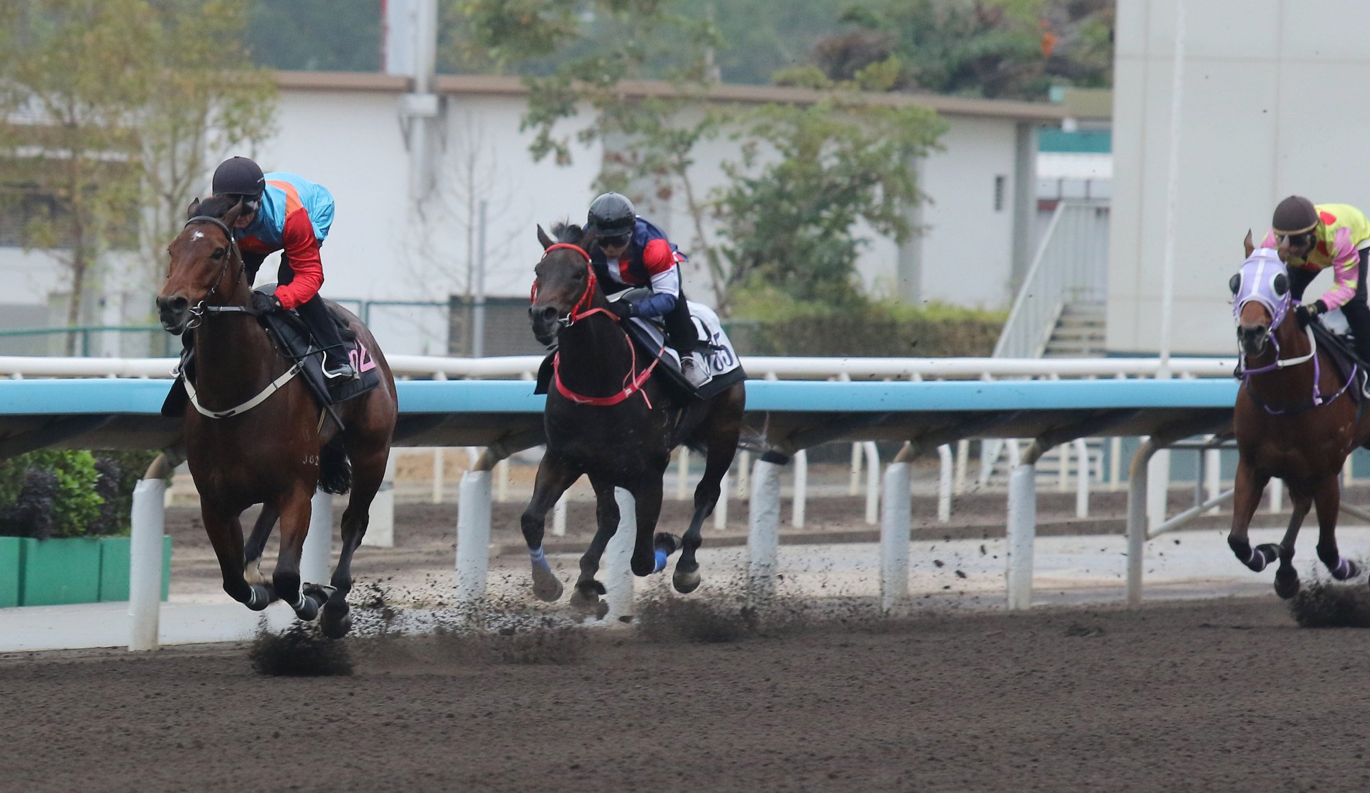 Ka Ying Rising strings them out like washing at Sha Tin.