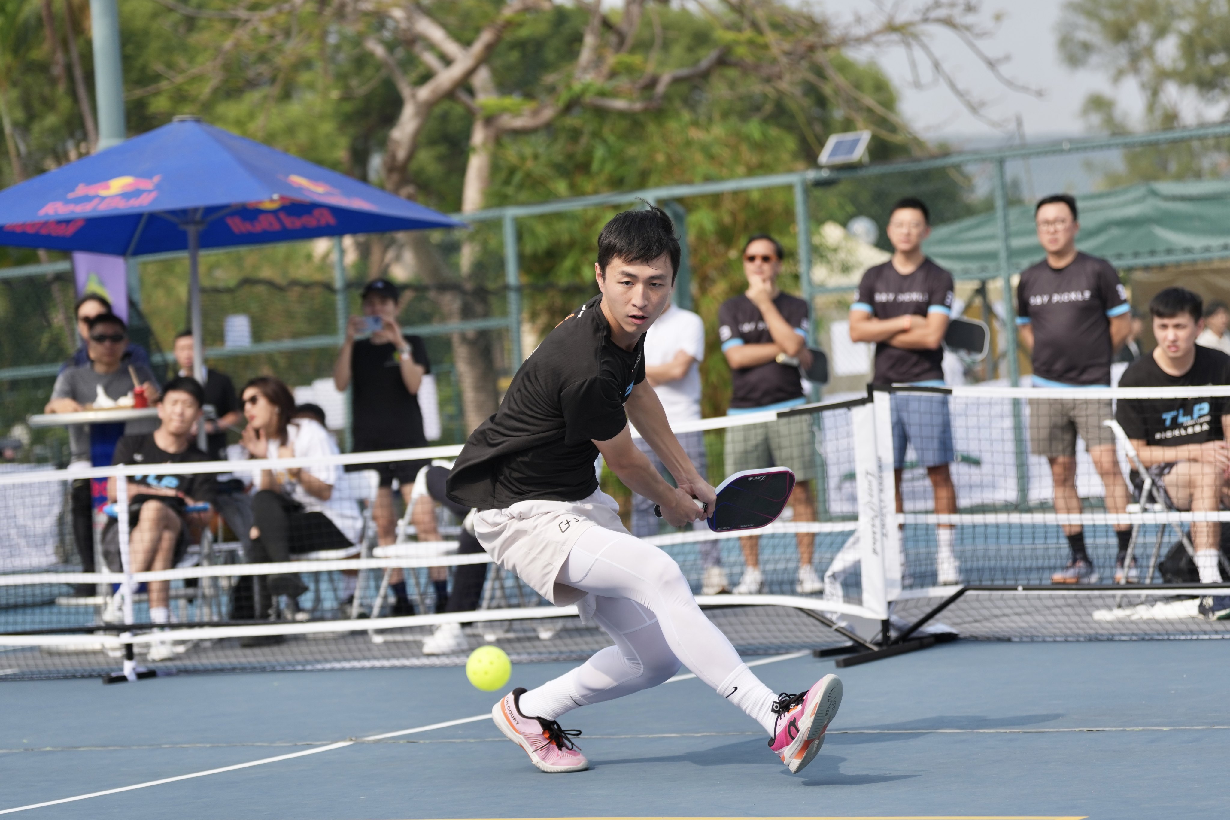 Ryan Lam, who is in his third year playing pickleball, turned professional last year. Photo: Karma Lo