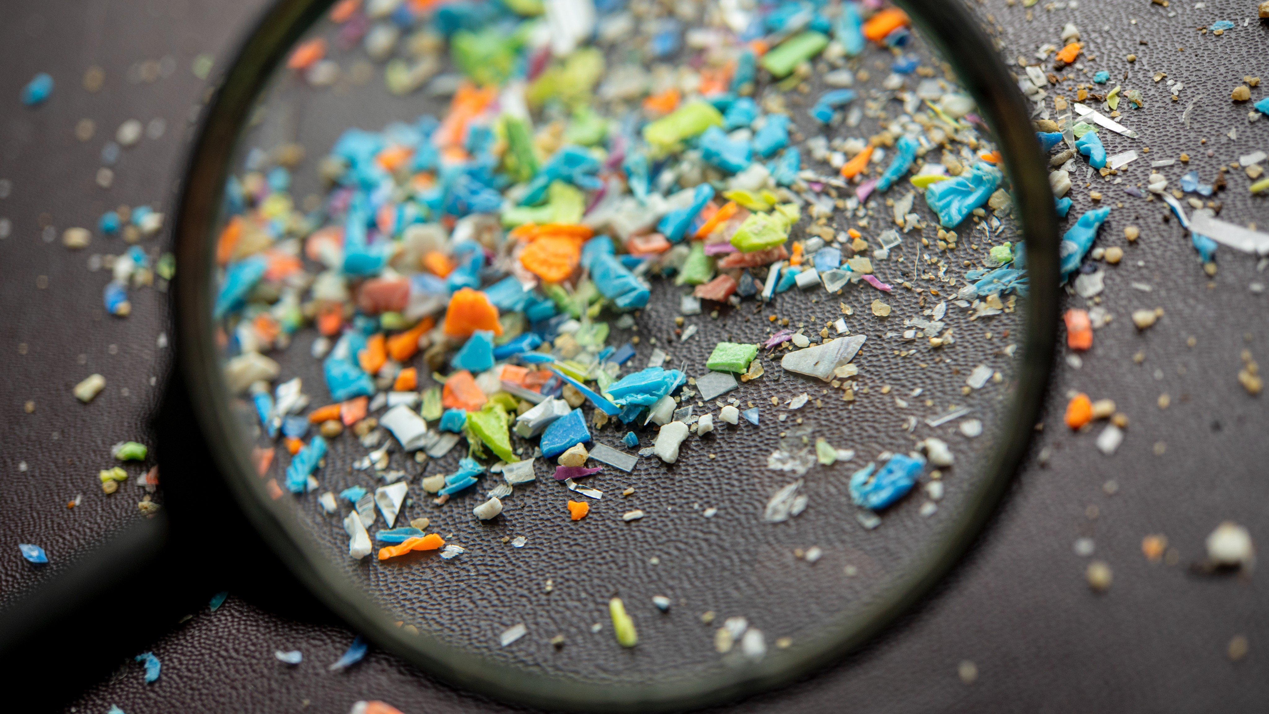 Some scientists have criticised the way that microplastics studies have been conducted, calling for new guidelines for the research. Photo: Shutterstock