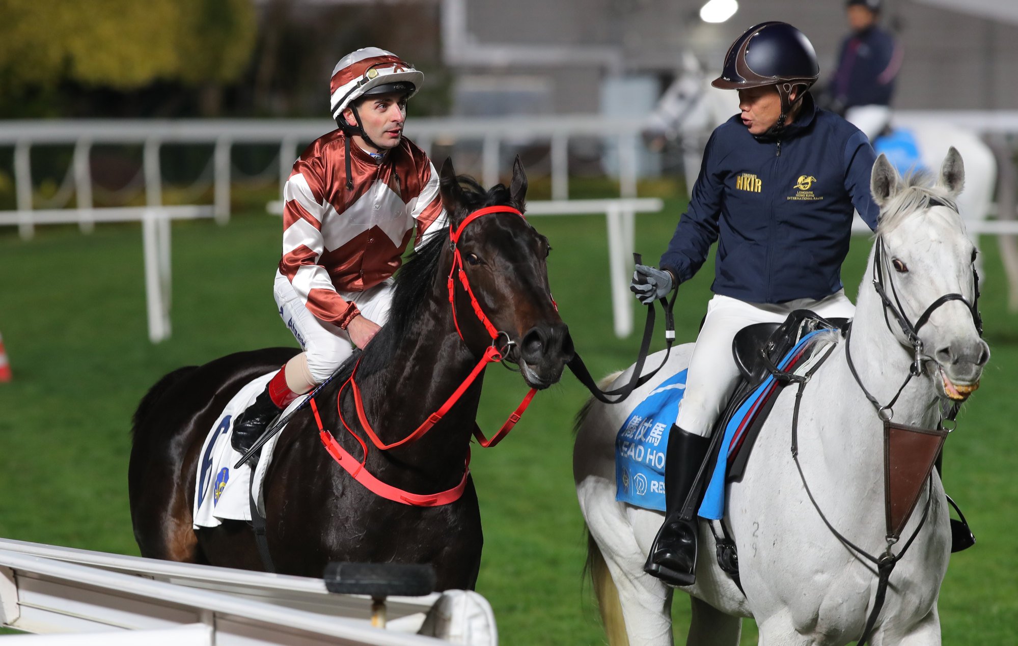 Sight Dreamer after going back to back at Sha Tin.
