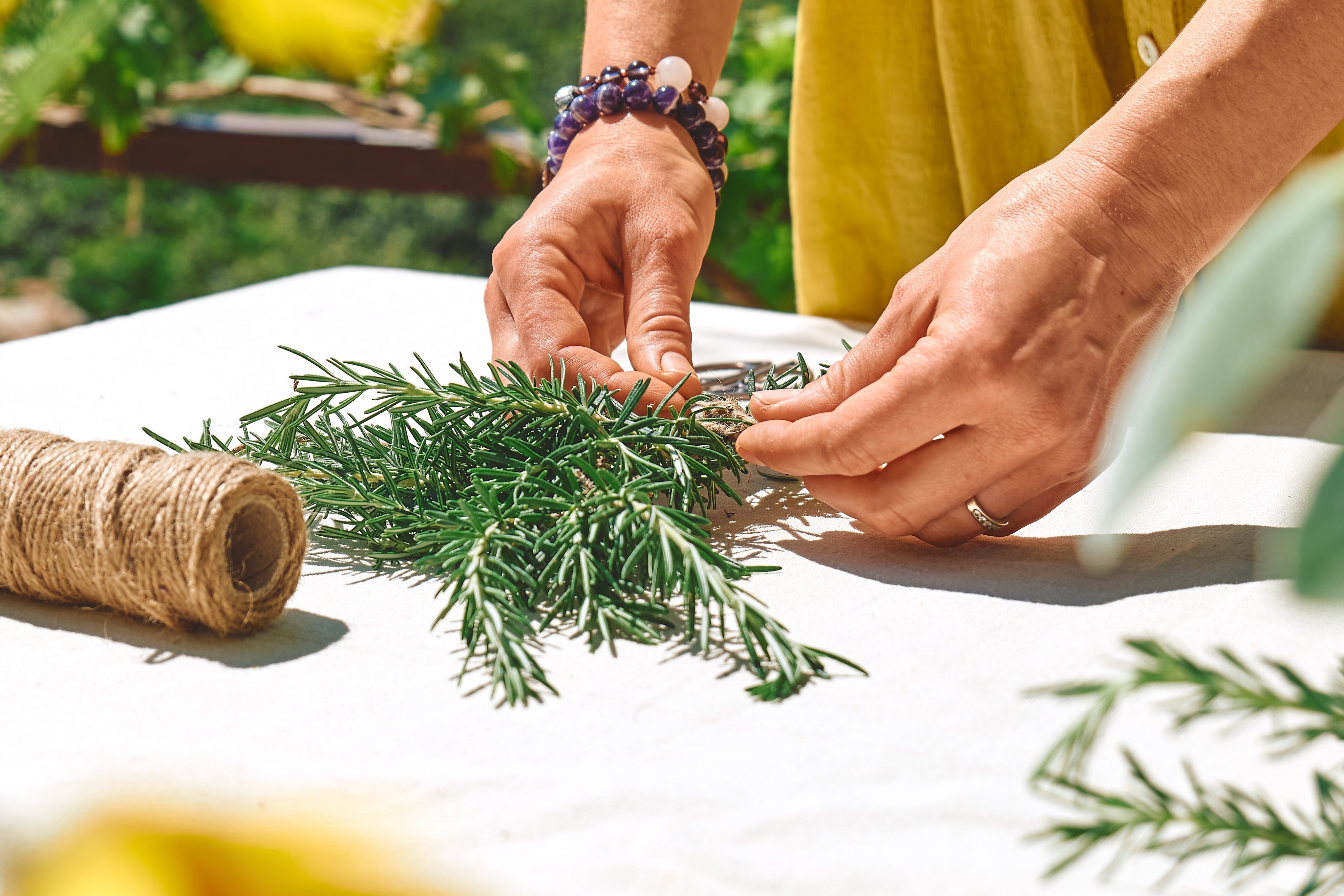 Rosemary is a pungent herb used extensively in Mediterranean cuisines. It goes especially well with olive oil, garlic and meat. Photo: Shutterstock